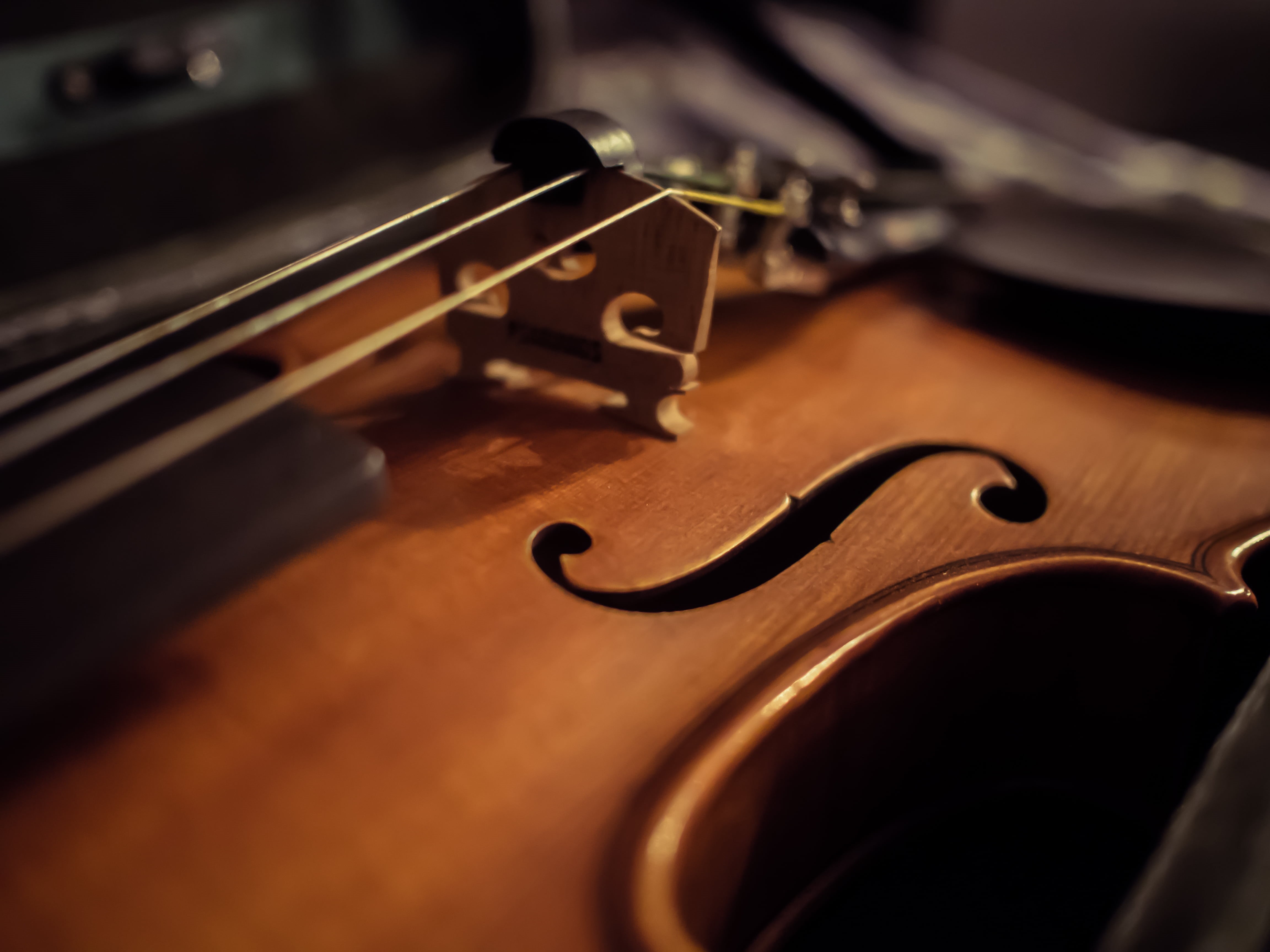 viola - Musical Instrument, classical Music, musical Instrument String, 4K, violin, musical Instrument, Dem, f  holes, photo, F-Holes, wood - Material, HD Wallpaper