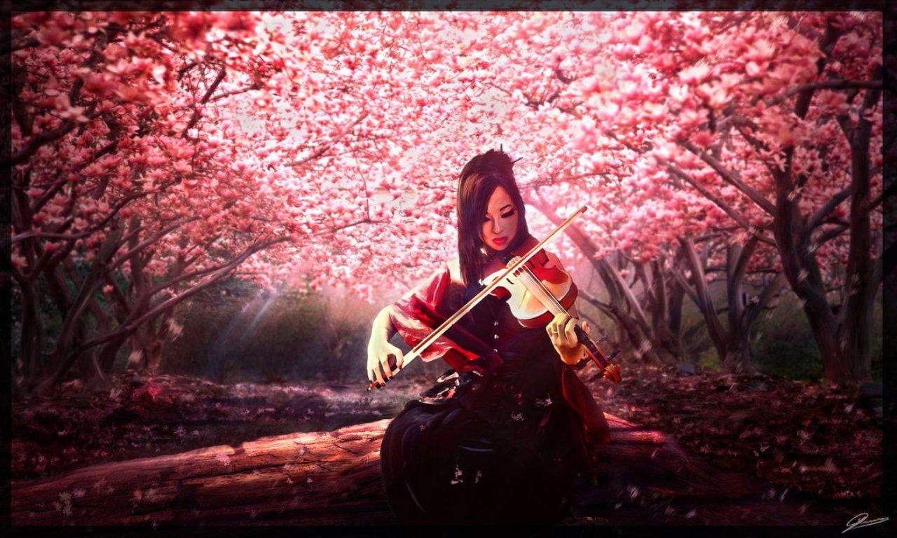 tree, real people, playing, string instrument, blossom, violin, hairstyle, one person, cherry, cherry blossom, front view, musical equipment, beautiful woman, HD Wallpaper