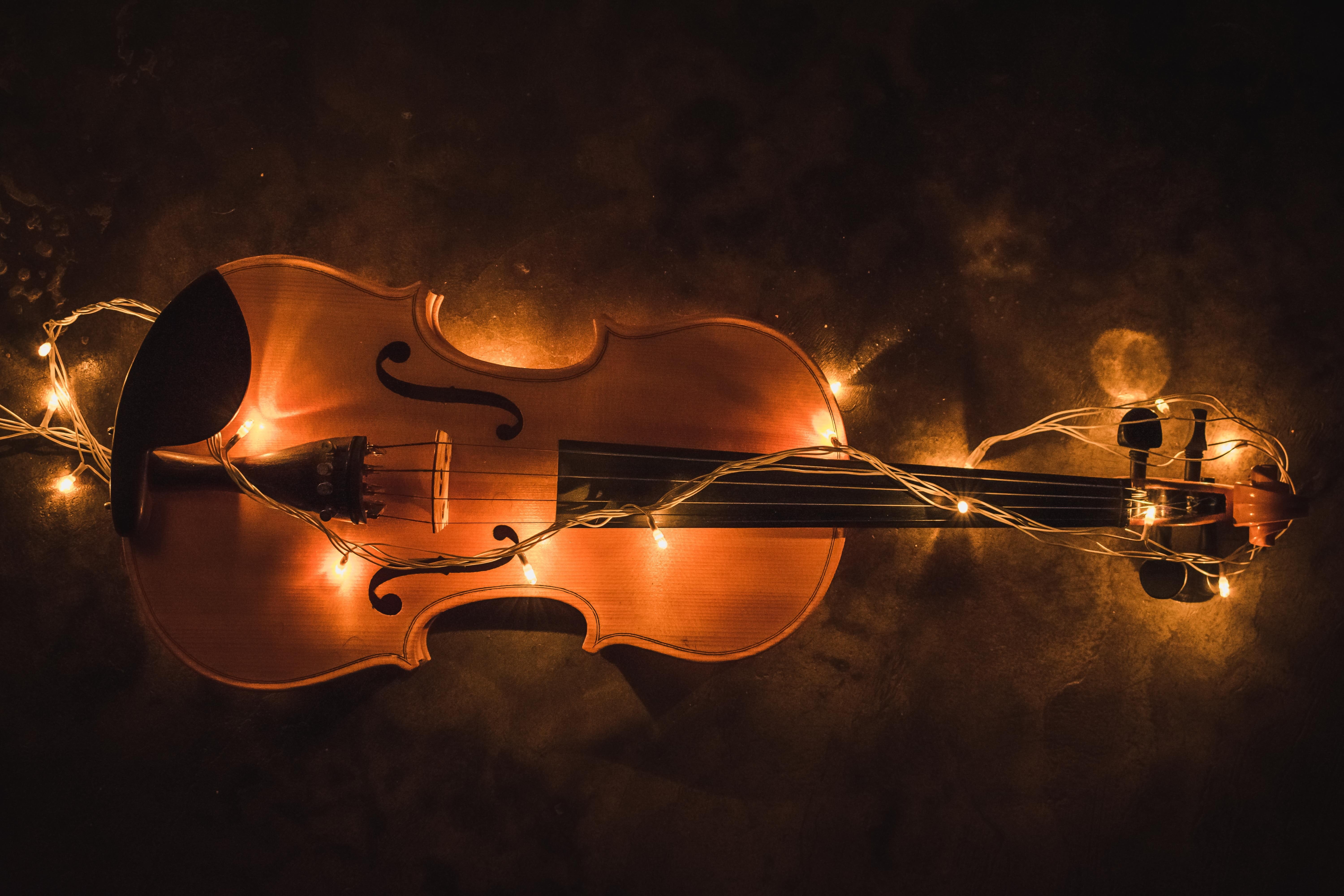 artist, string, violinist, musical, female, musical instrument string, musician, string instrument, attractive, lighting, music, white, 5K, musical instrument, HD Wallpaper