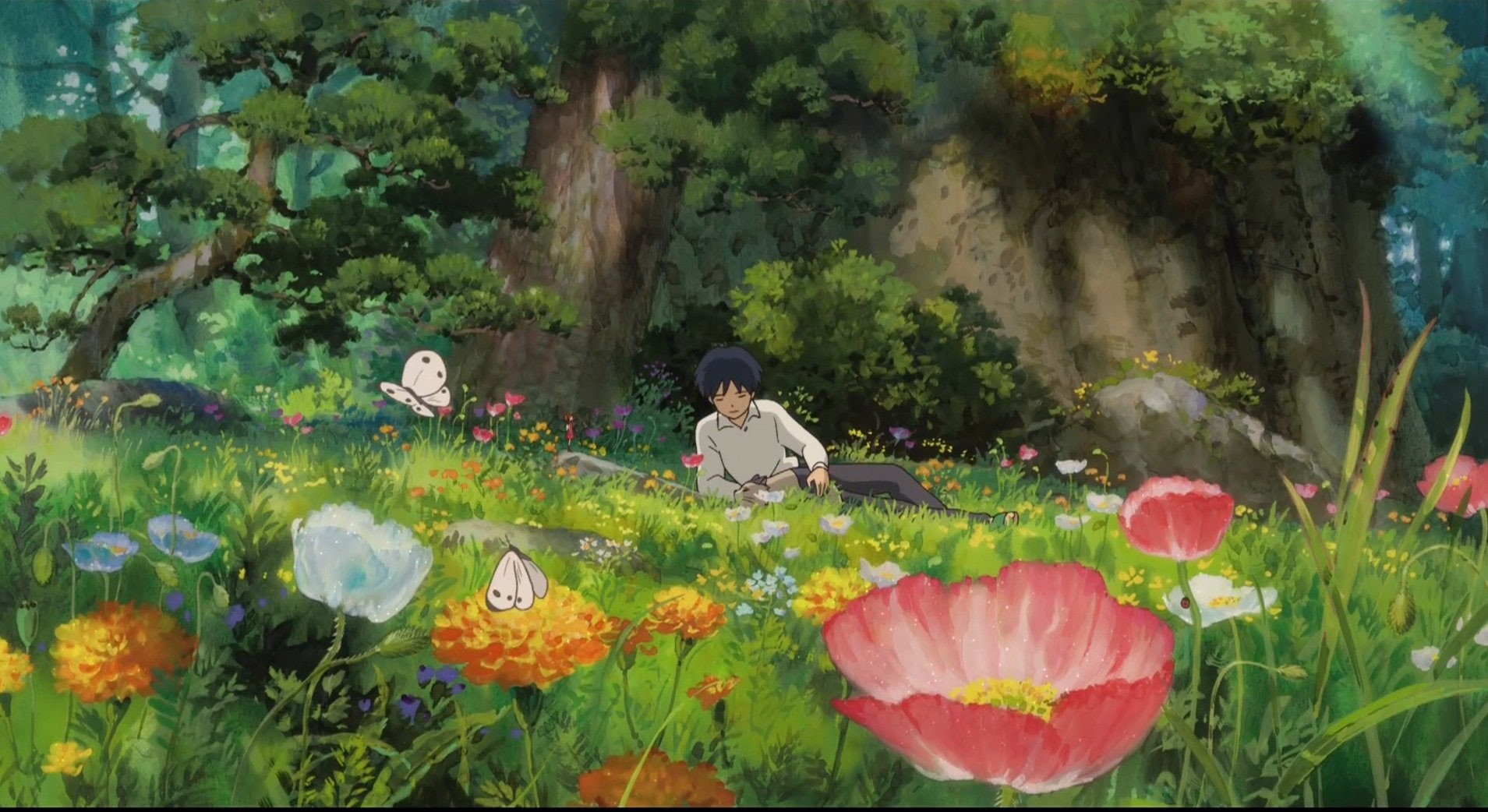 world, secret, flowers, butterflies, karigurashi, boys, arrietty, 720P, garden, anime, artwork, HD Wallpaper