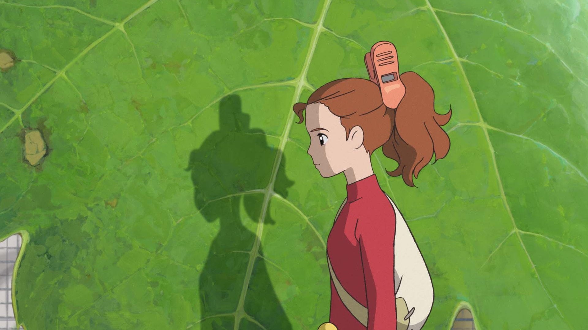1080P, Movie, The Secret World Of Arrietty, HD Wallpaper