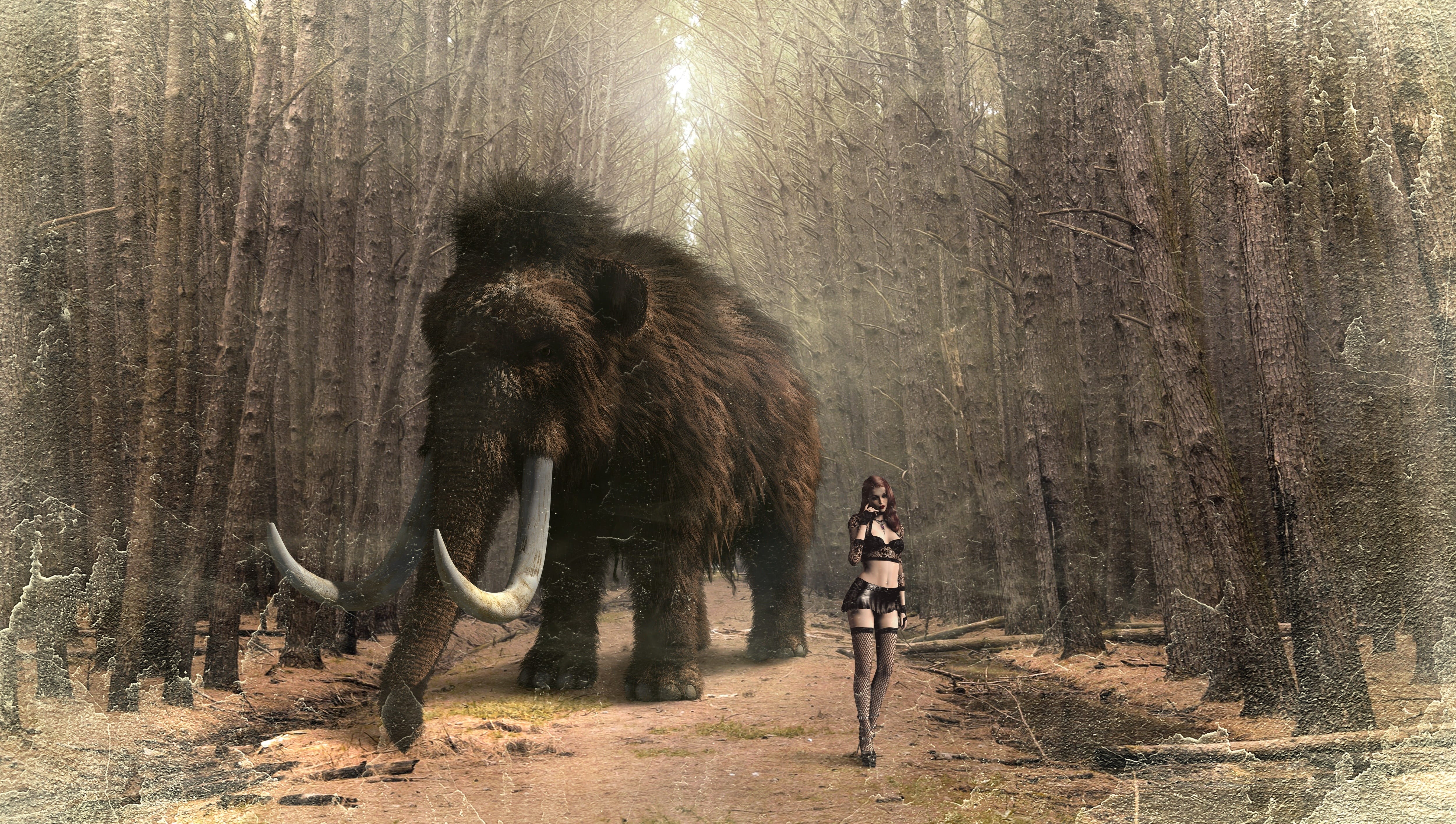 landscape, 4K, fantasy, one animal, brown, standing, day, mammal, forest, atmosphere, surreal, fantasy picture, vertebrate, dreams, nature, dream, animals in the wild, HD Wallpaper