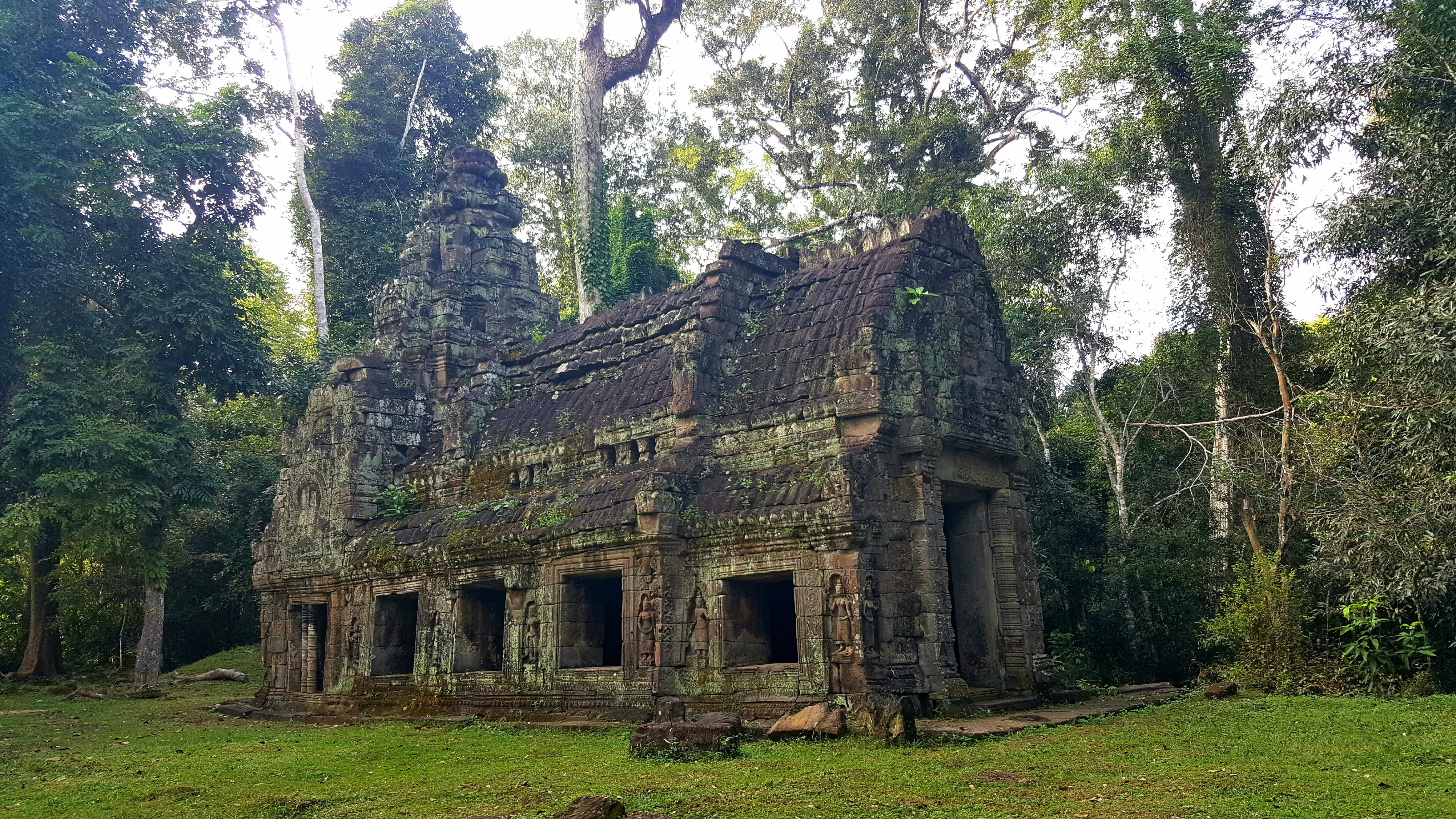 deterioration, ancient civilization, grass, brown, green, tranquility, day, peace, land, architecture, low angle view, outdoors, temple, bad condition, HD Wallpaper