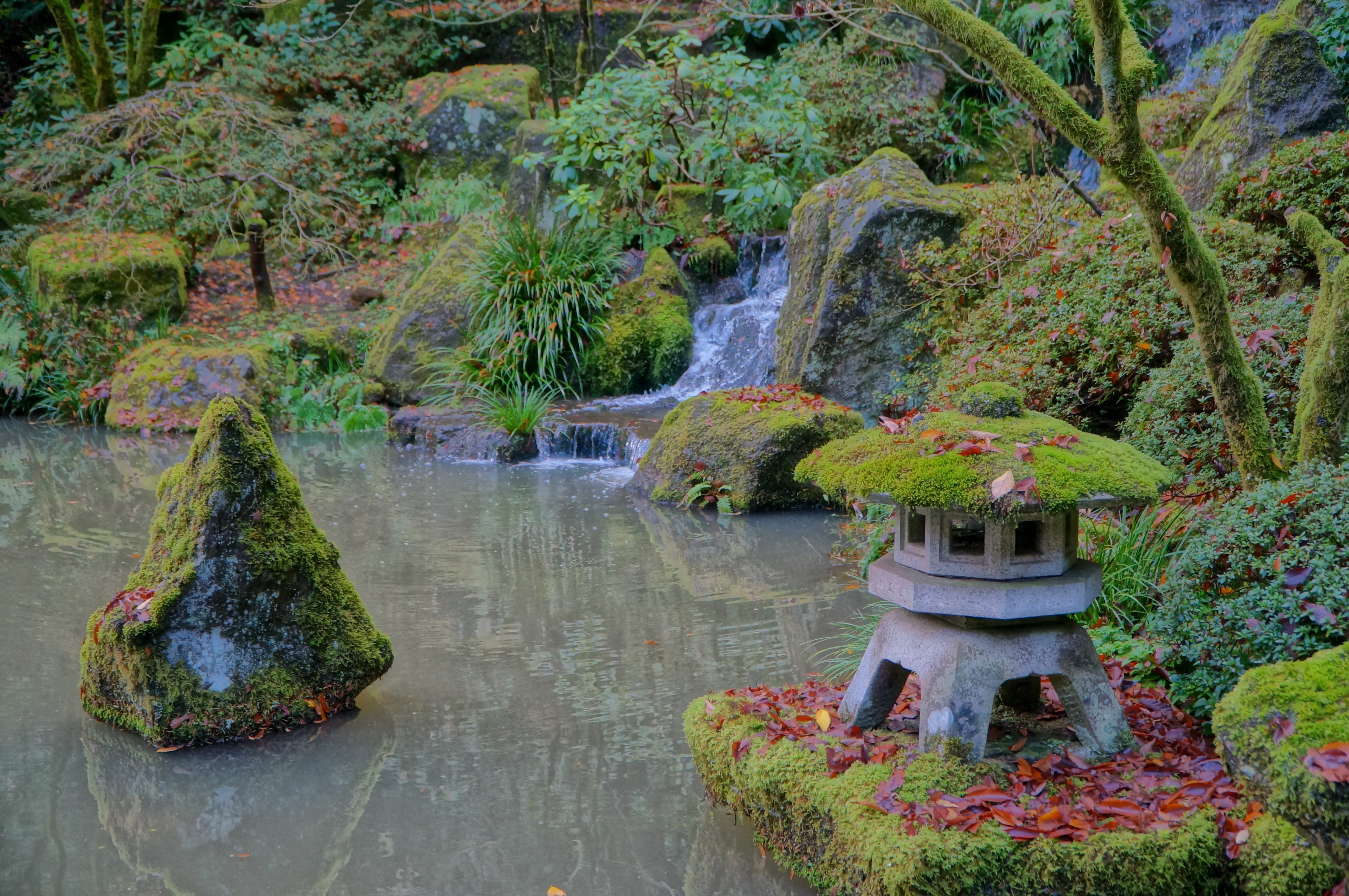 asian, rock - object, growth, lake, no people, oriental, solid, scenics - nature, relax, Japanese, flowing water, rock, Portland, tranquility, portland, HD Wallpaper