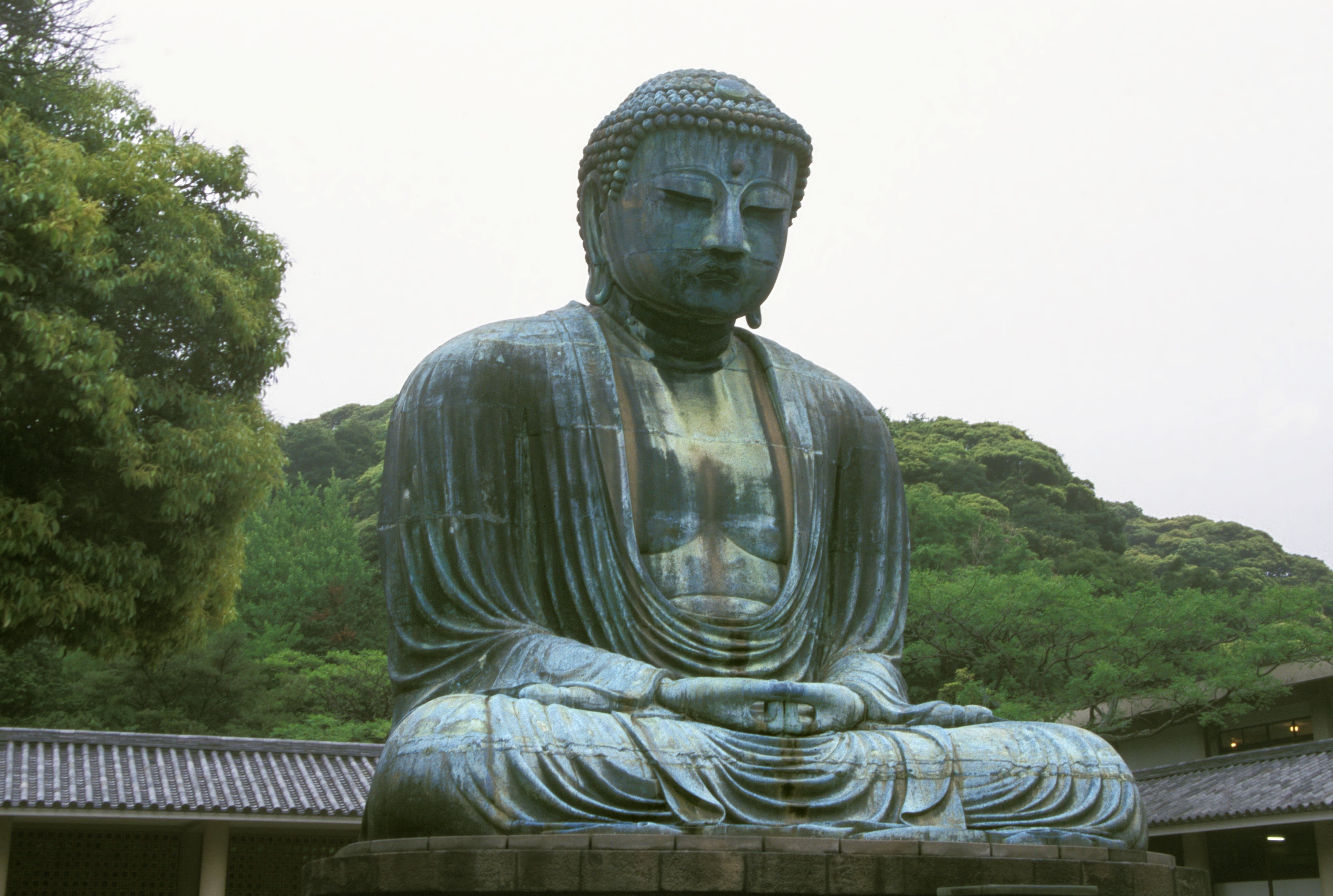 place of worship, tree, work of art, cultures, kamakura, relaxation, serenity, sculpture, religion, male likeness, 1252, art and craft, prayer, philosophy, HD Wallpaper