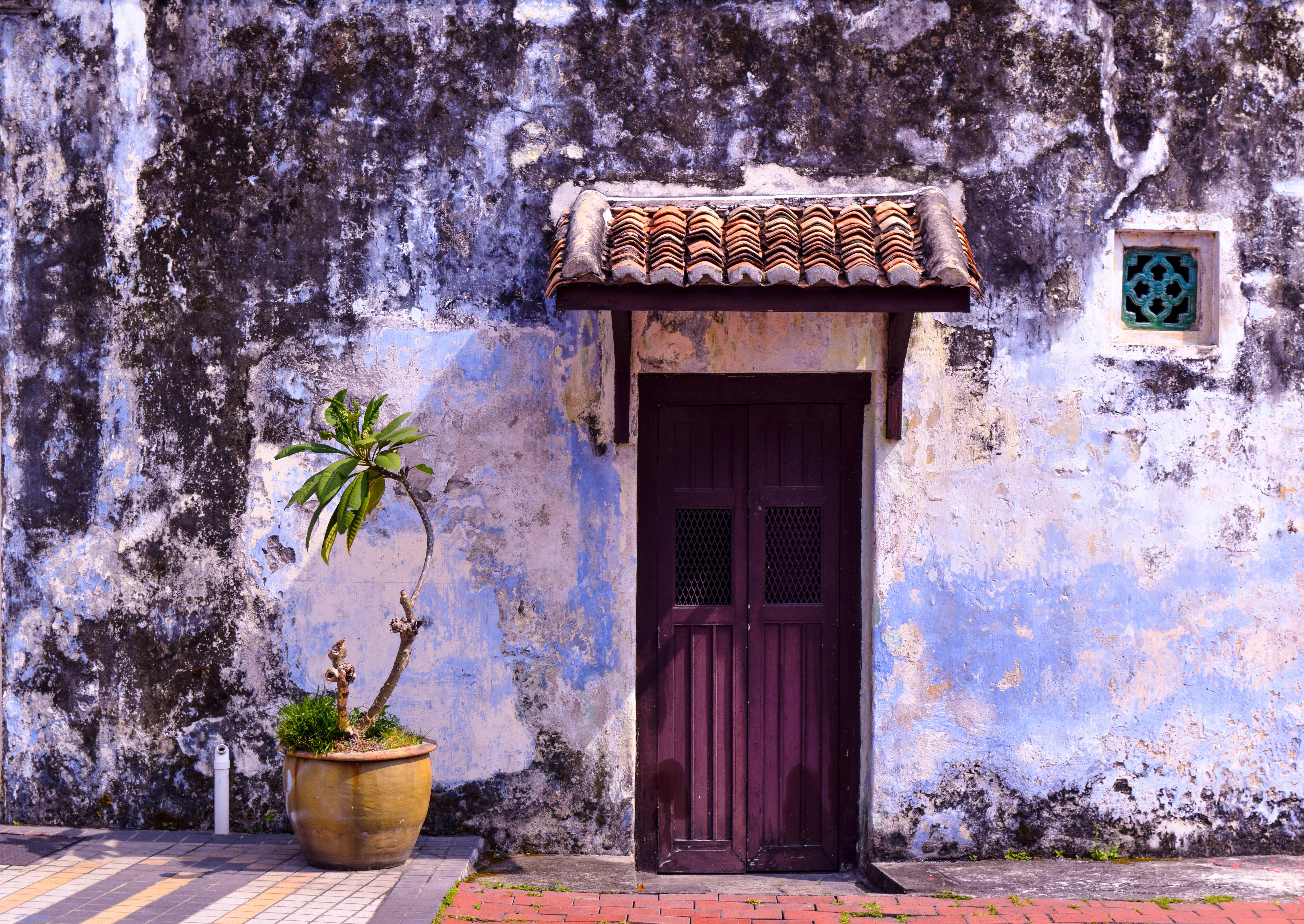 house, no people, nature, doorway, daytime, daylight, traditional, wooden, green, wall - building feature, plant, penang, rustic, residential district, HD Wallpaper