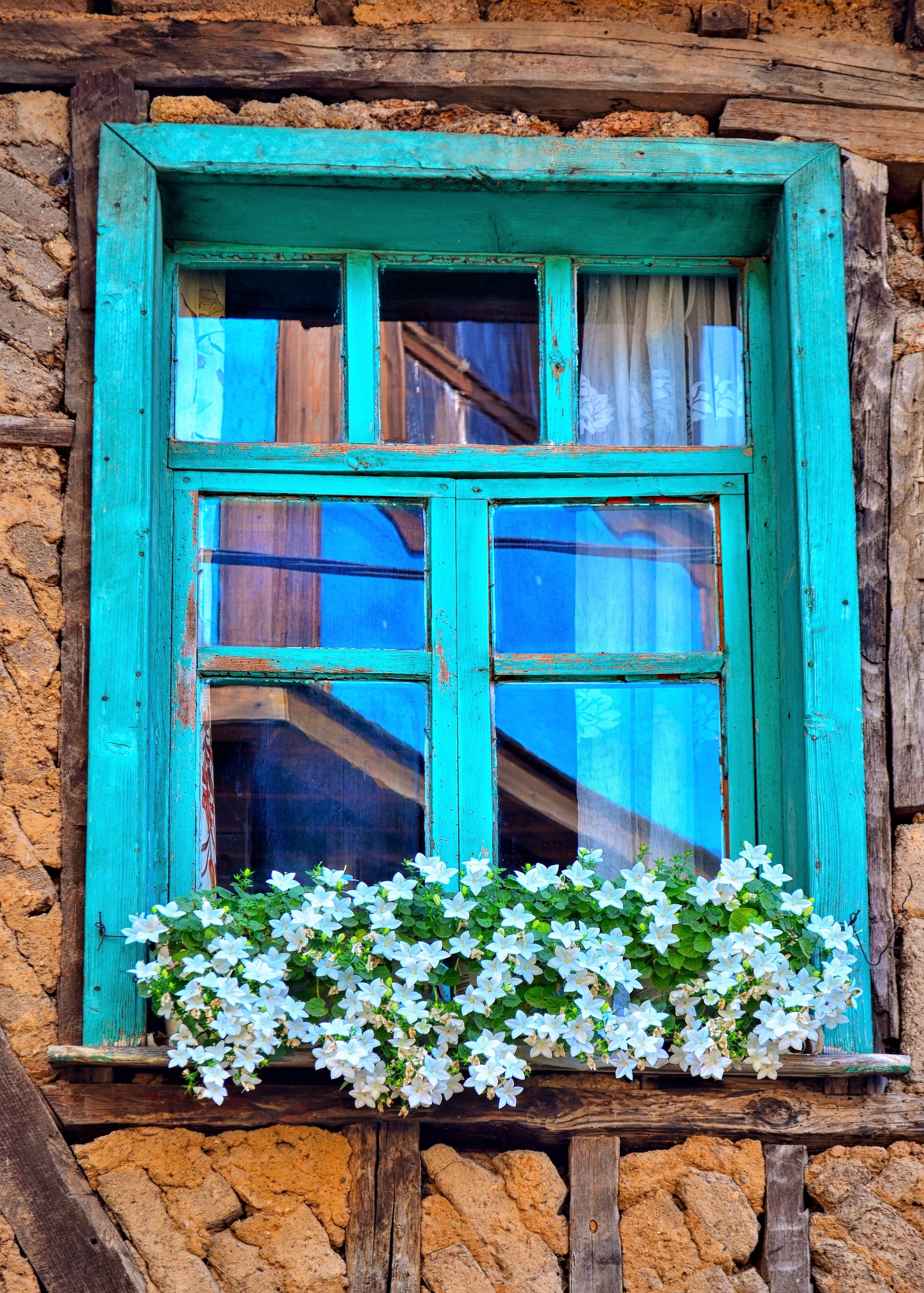 facade, detail, white, village, color, flowers, old wall, Culture, turkey, green color, petaled, house, Architecture, window frame, door, Decor, europe, Phone HD Wallpaper