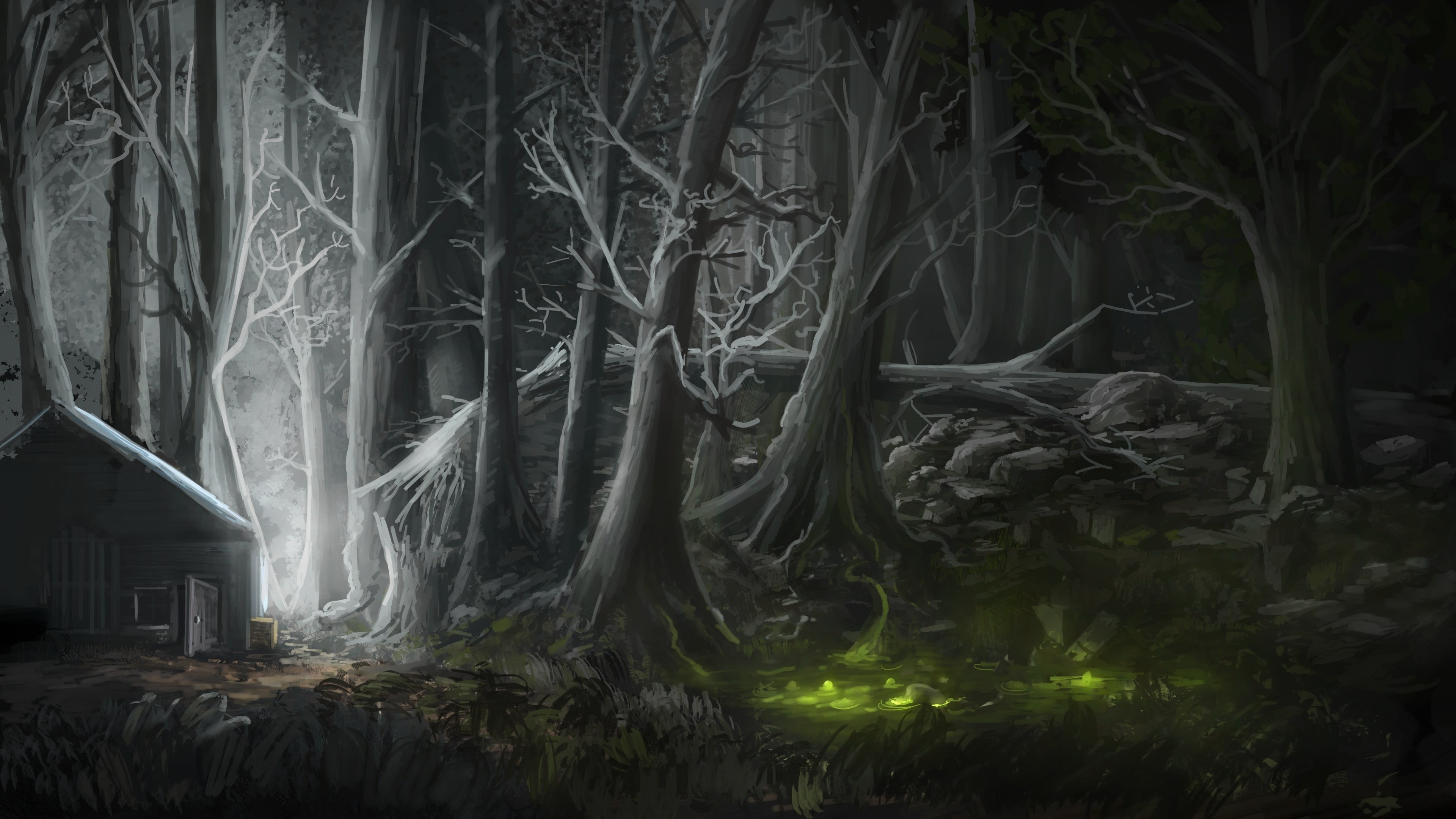 beauty in nature, outdoors, 4K, plant part, spooky, lights, withered, fear, fantasy art, no people, nature, tree, built structure, night, land, growth, HD Wallpaper
