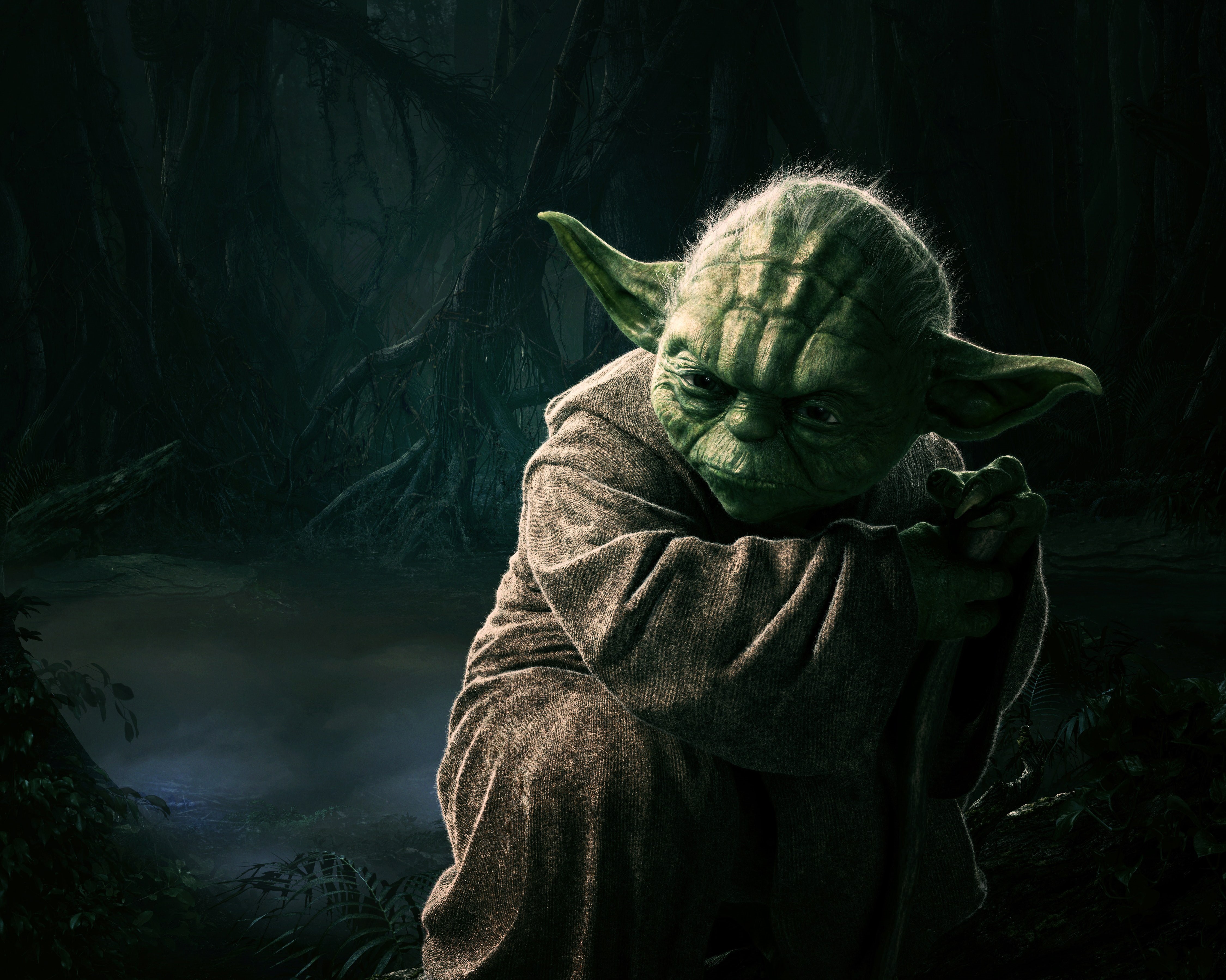 Male, Trees, animal wildlife, Man, mature adult, Joda, 20th Century Fox, Sci-Fi, Episode V, holding, Adventure, StarWars, Wood, casual clothing, Film, 4K, HD Wallpaper