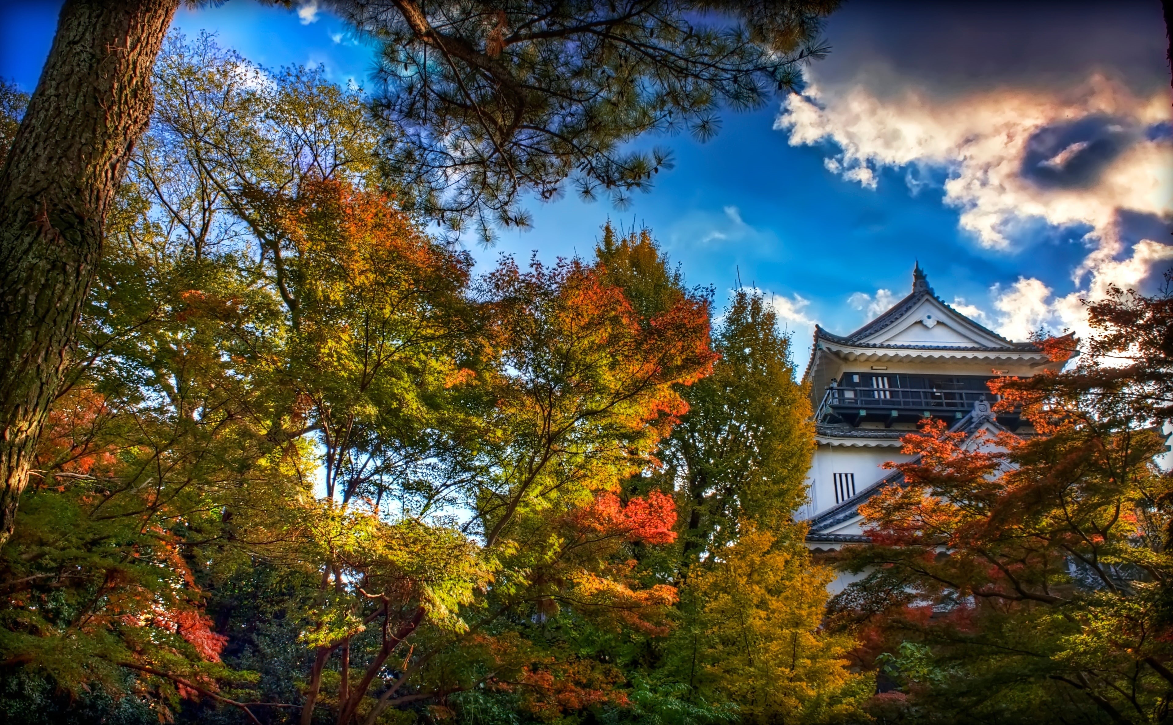 Green, Autumn, orange color, architecture, growth, Buildings, building exterior, house, trees, Aperture, Photomatix Pro, Chubu, japanese, change, Castles, HD Wallpaper