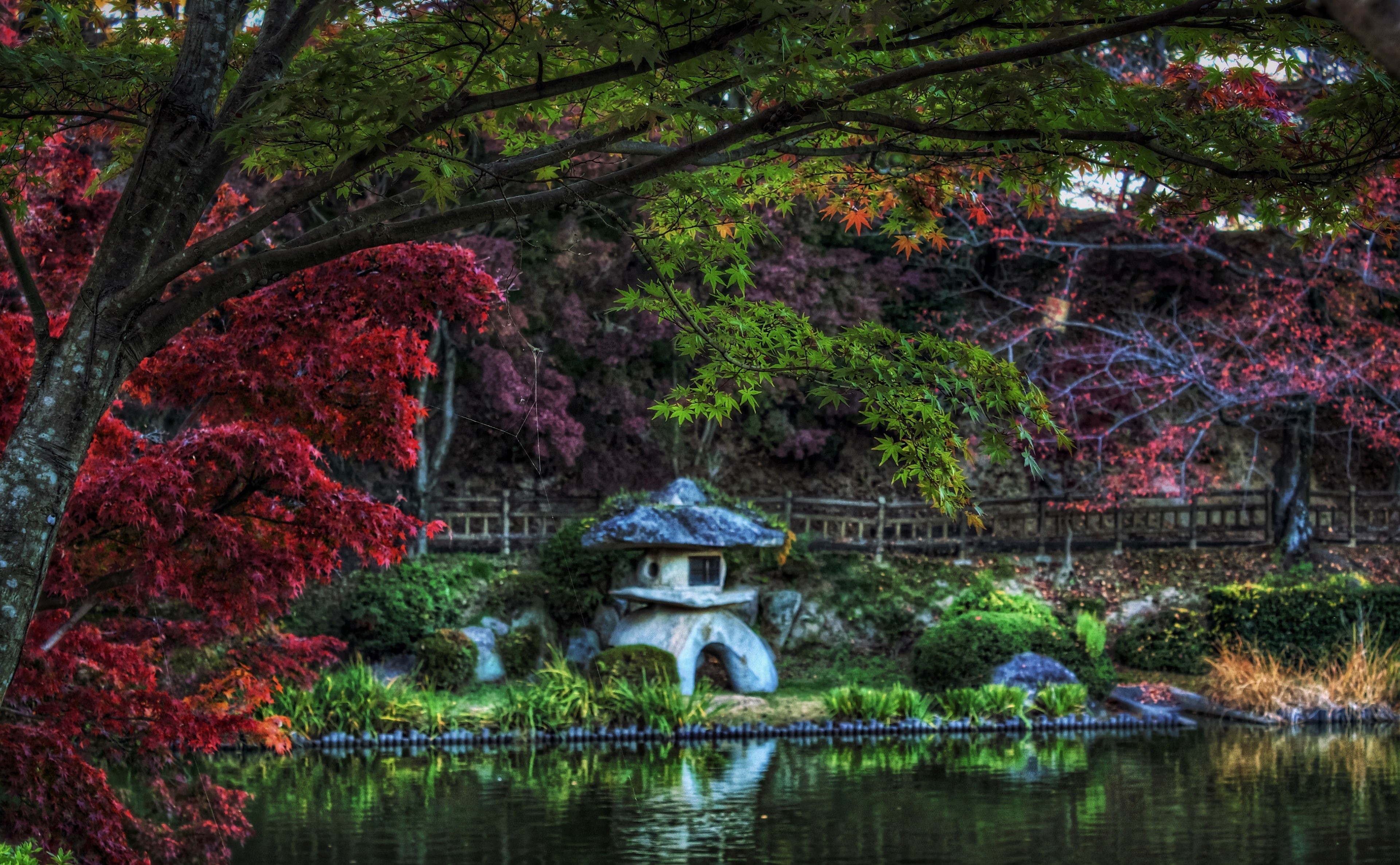trees, growth, Aperture, bridge - man made structure, park - man made space, toro, Okazaki City, Topaz Adjust, green, bridge, Aichi Prefecture, no people, HD Wallpaper