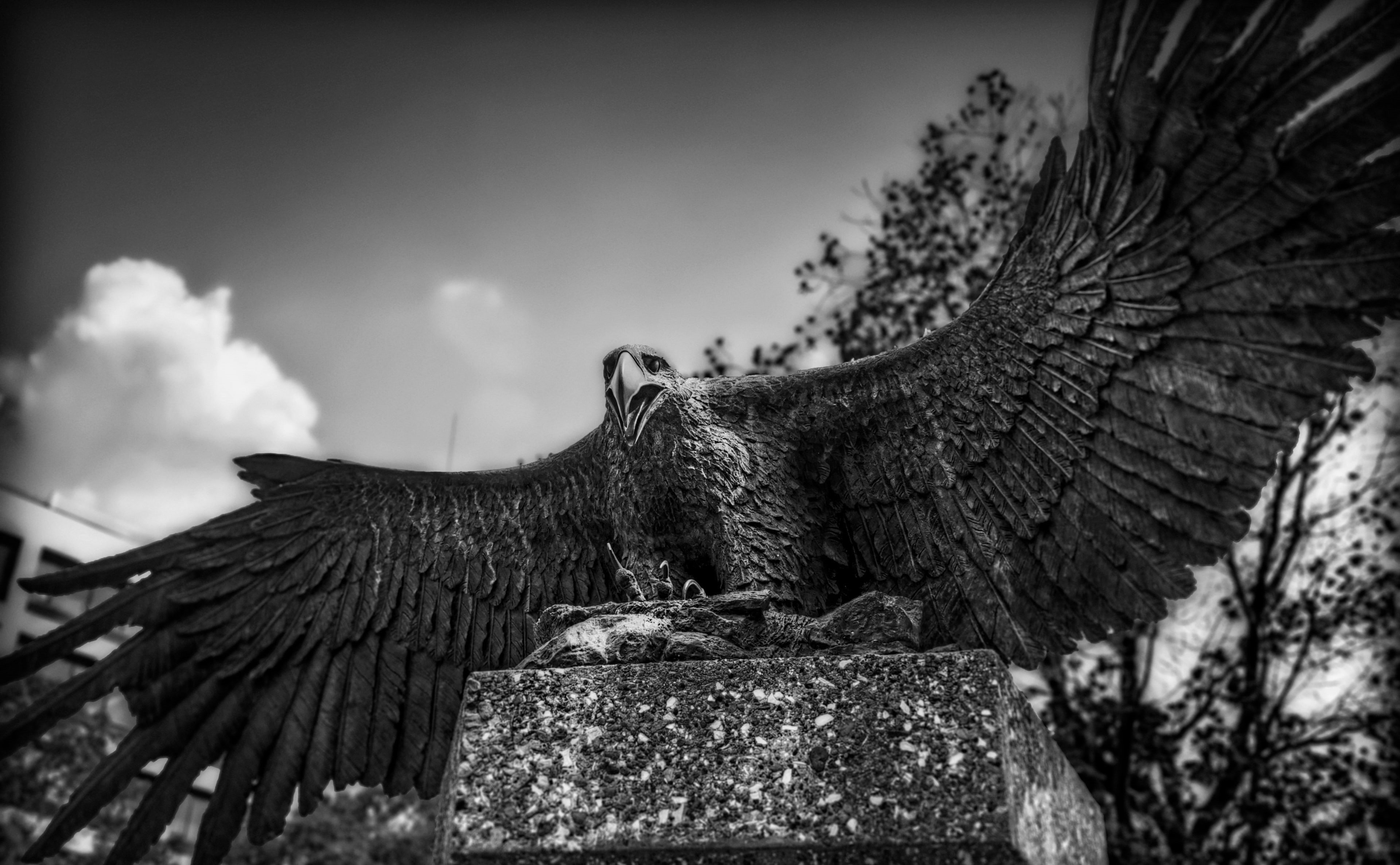 animal body part, day, eagle, no people, canon, Japan, cloud - sky, animal head, Photomatix Pro, low angle view, creativity, Aichi Prefecture, Black and White, HD Wallpaper