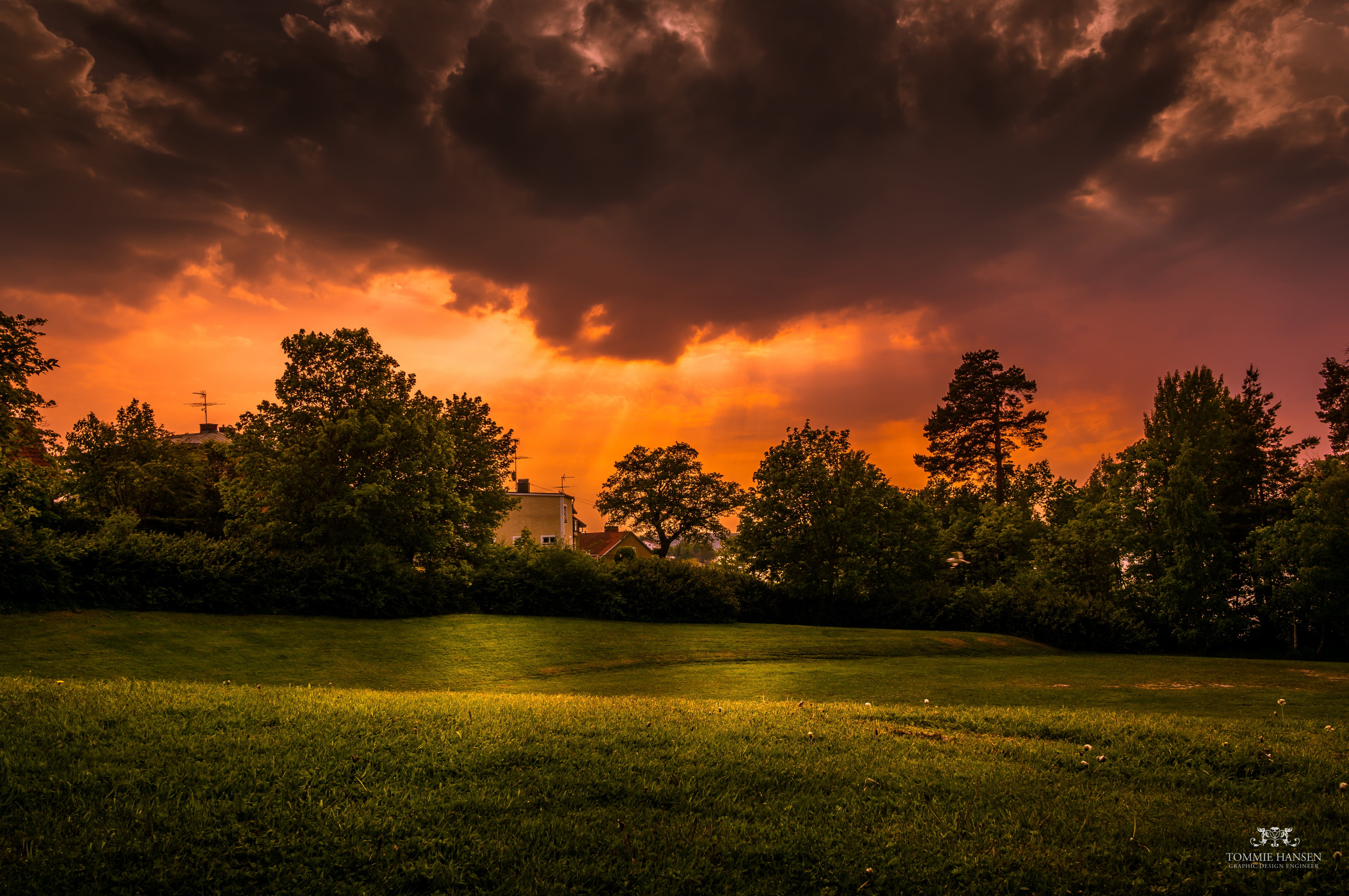 Landscape, sunrise - Dawn, Sea, Forest, Urban, sky, 4K, green grass, Tree, Sigma, Mälaren, rural Scene, Stockholm County, Sony, Grass, morning, Sweden, HD Wallpaper
