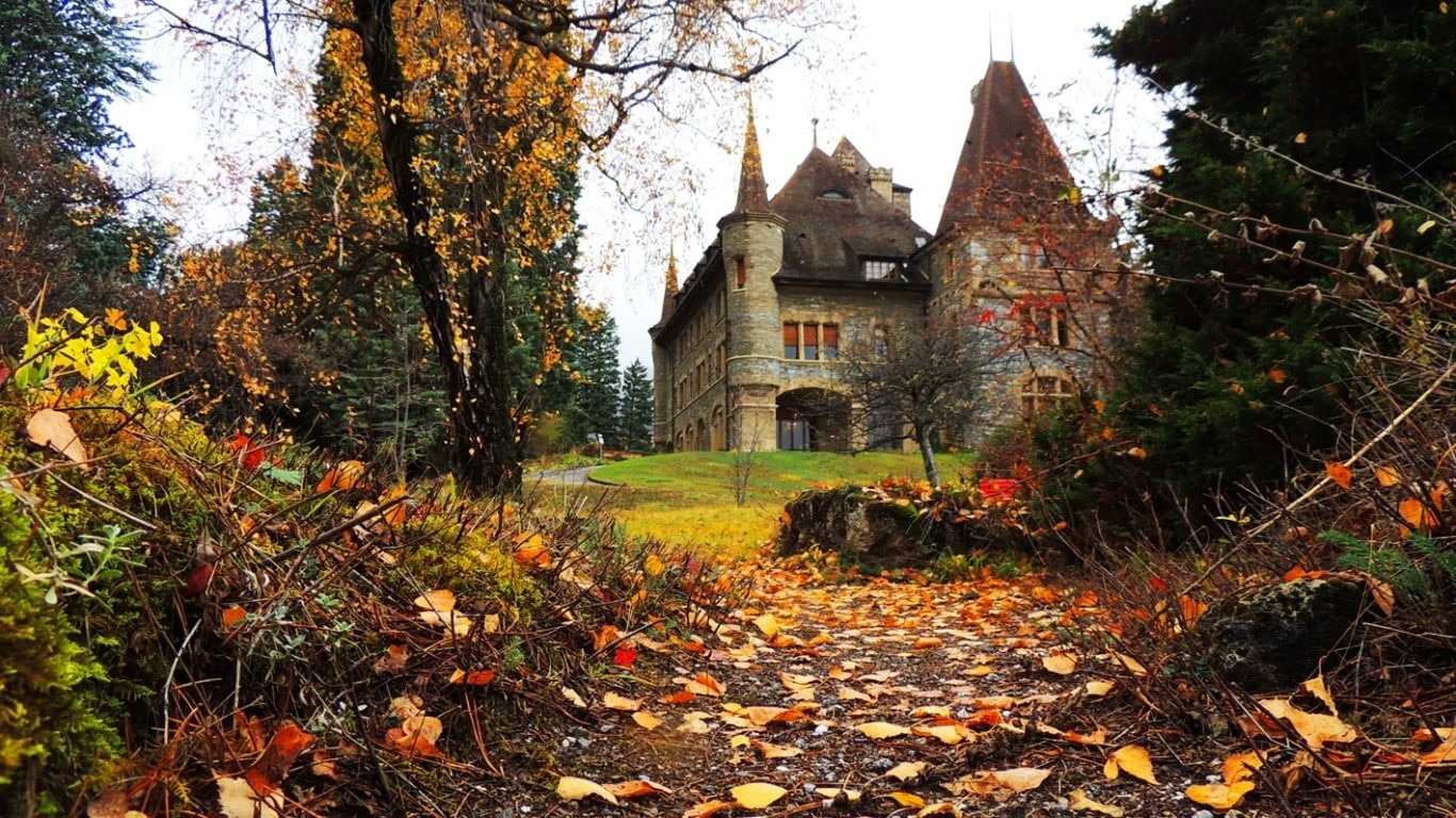 trees, 720P, tree, leaves, leaf, brown, no people, mansions, cottage, growth, day, nature, gray, building, change, history, forest, outdoors, architecture, HD Wallpaper