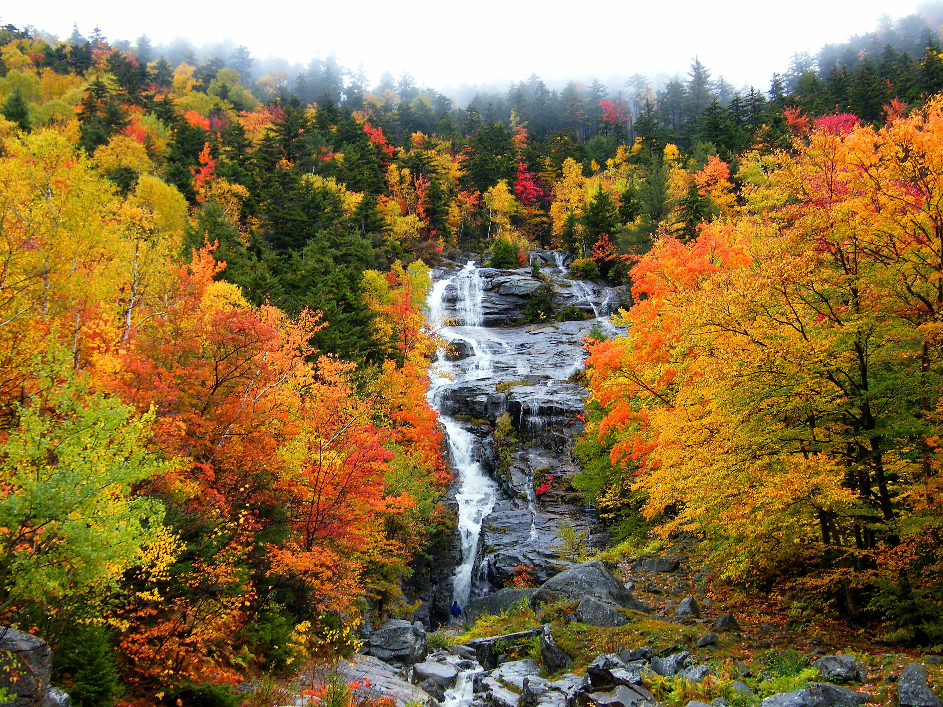 outdoors, beauty In Nature, tree, forest, scenics, red, autumn, orange Color, river, maple tree, White Mountain, leaf, season, autumn  fall, nature, Waterfall, HD Wallpaper