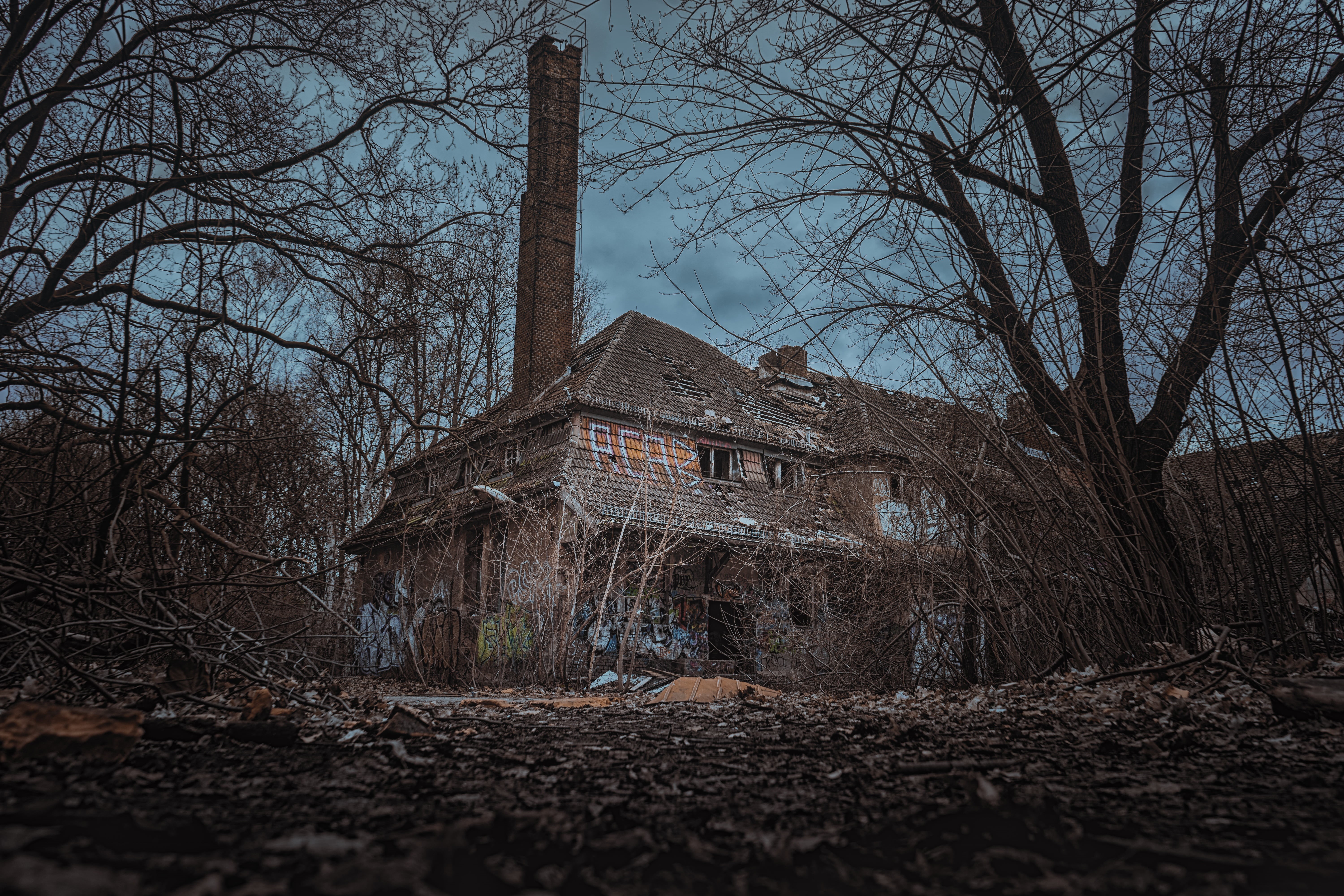 plant, old, homes, building, sky, damaged, 5K, dirty, spooky, dilapidated, house, place of worship, nature, gloomy, ruin, mood, forget, tree, architecture, HD Wallpaper