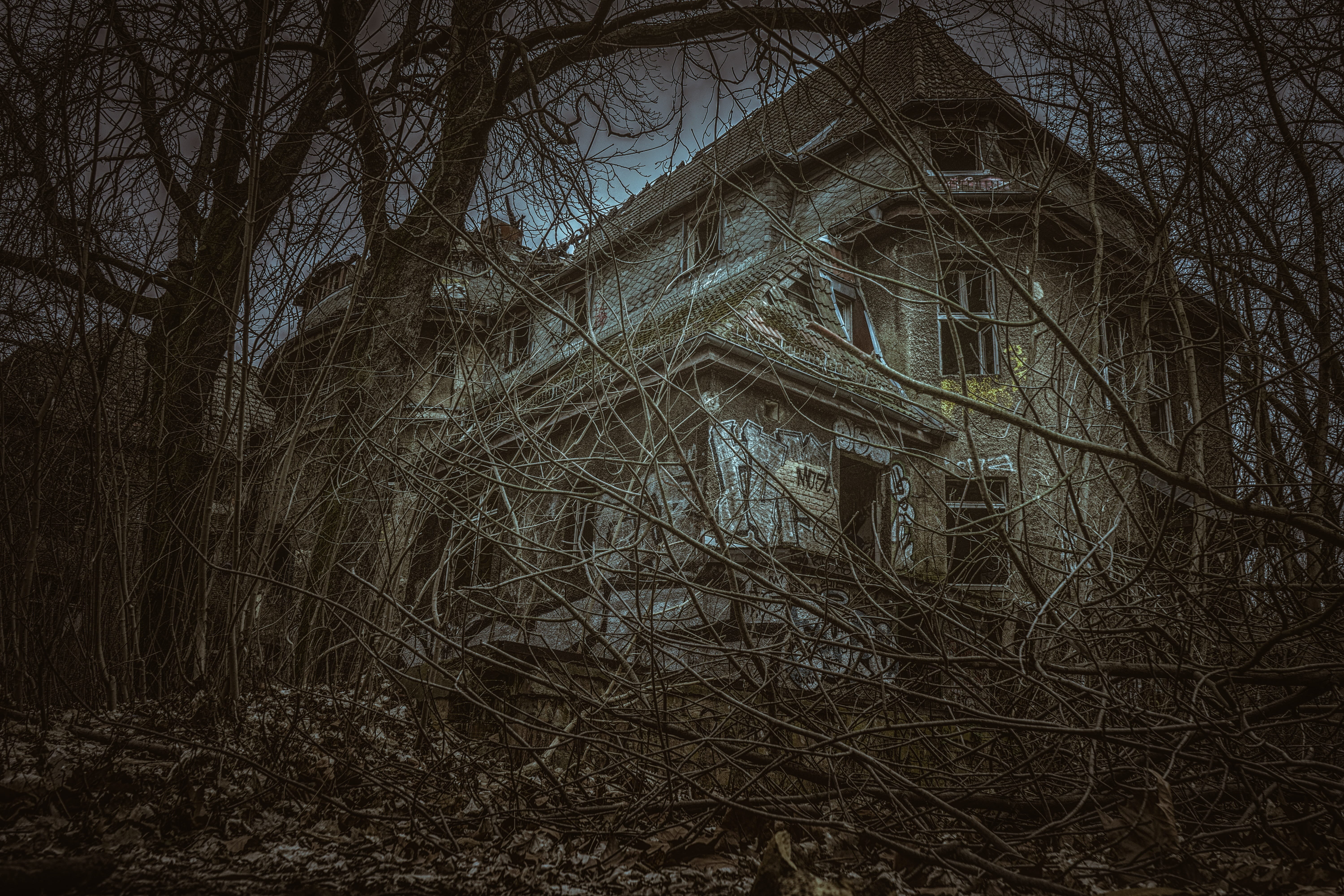 tree, old, low angle view, plant, forget, hospital, lost place, obsolete, uninhabited, leave, lost, land, dark, building, destruction, homes, gloomy, concrete, HD Wallpaper