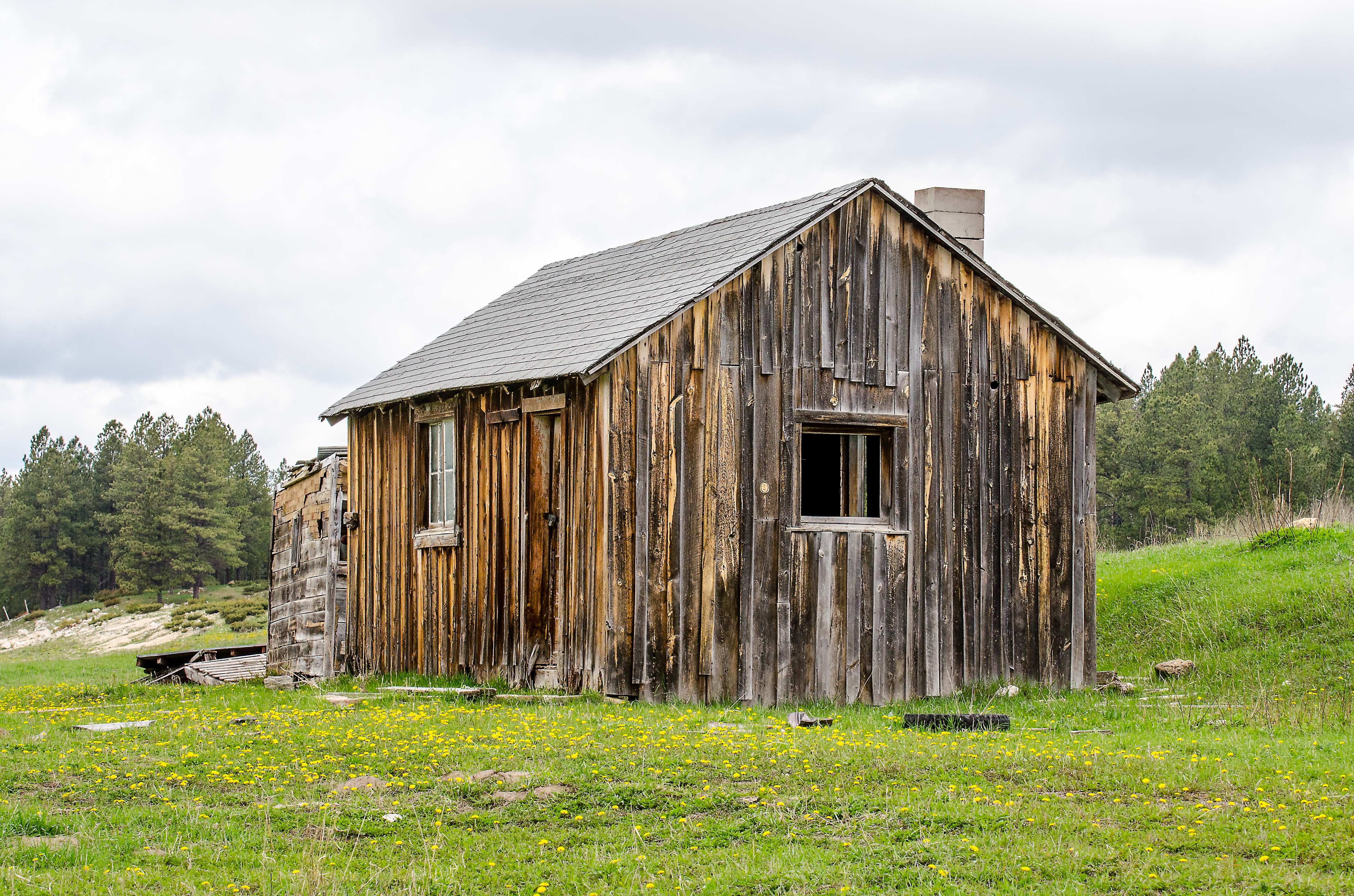 country, old, barn, forest, historic, building exterior, land, weathered, wilderness, door, rural, green color, nature, rural Scene, architecture, green, HD Wallpaper