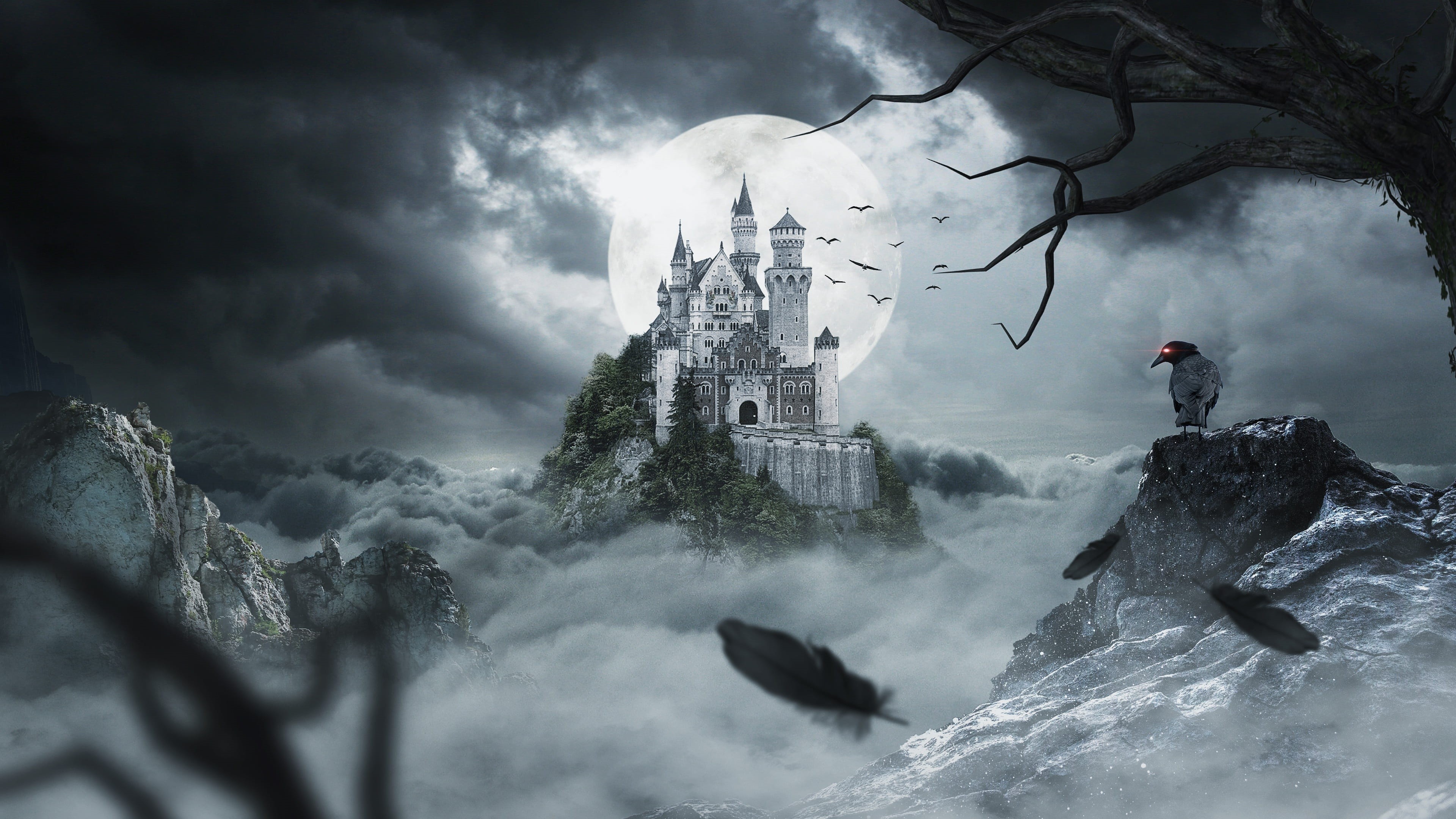 birds, travel, architecture, motion, night, horror, moon, cloud - sky, people, castle, top, cold temperature, scenics - nature, rock - object, HD Wallpaper