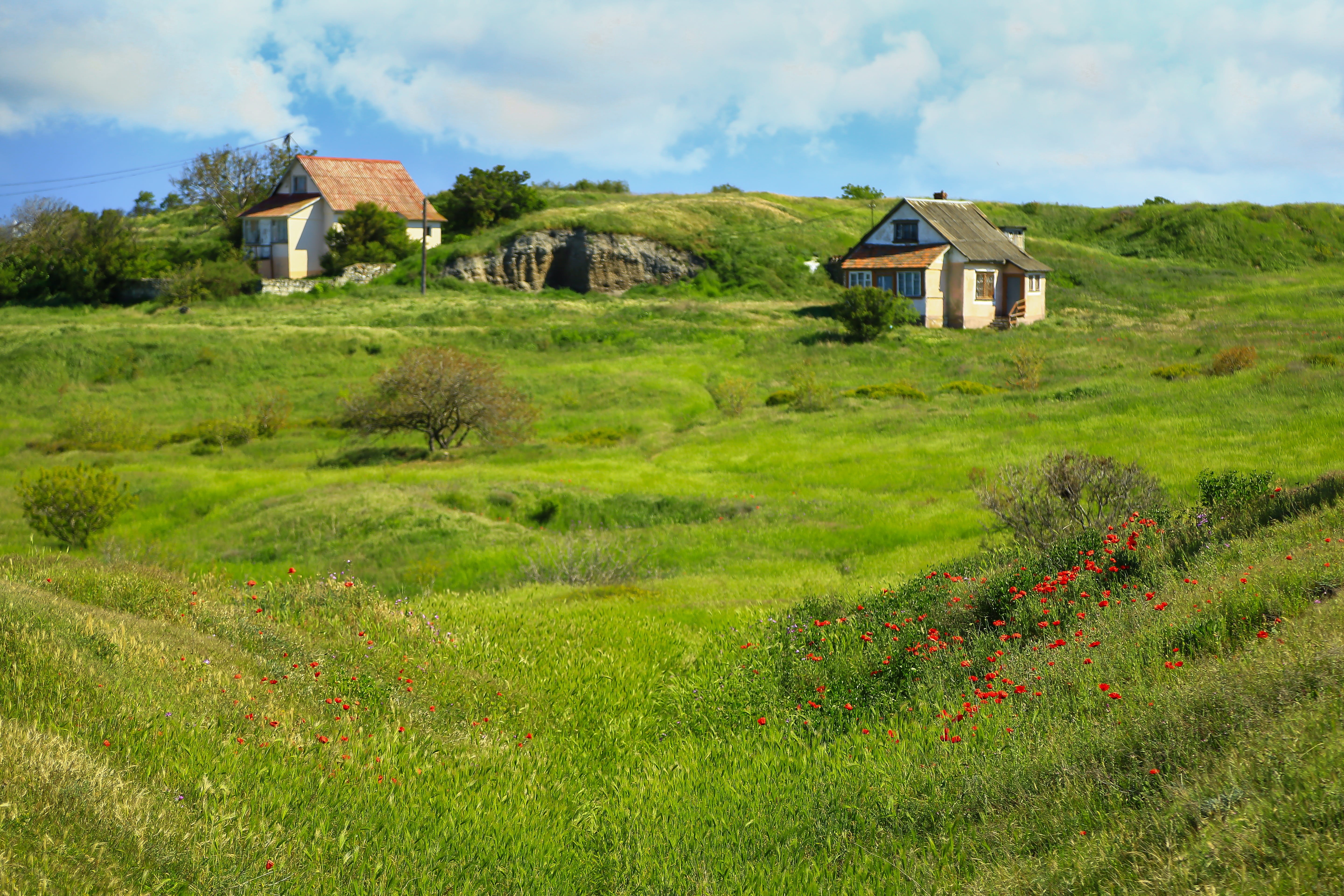 5K, grass, island, inspiration, house, day, land, village, Crimea, sunny, wave, seascape, journey, building, rustic, freshness, cottage, blue, outdoors, HD Wallpaper