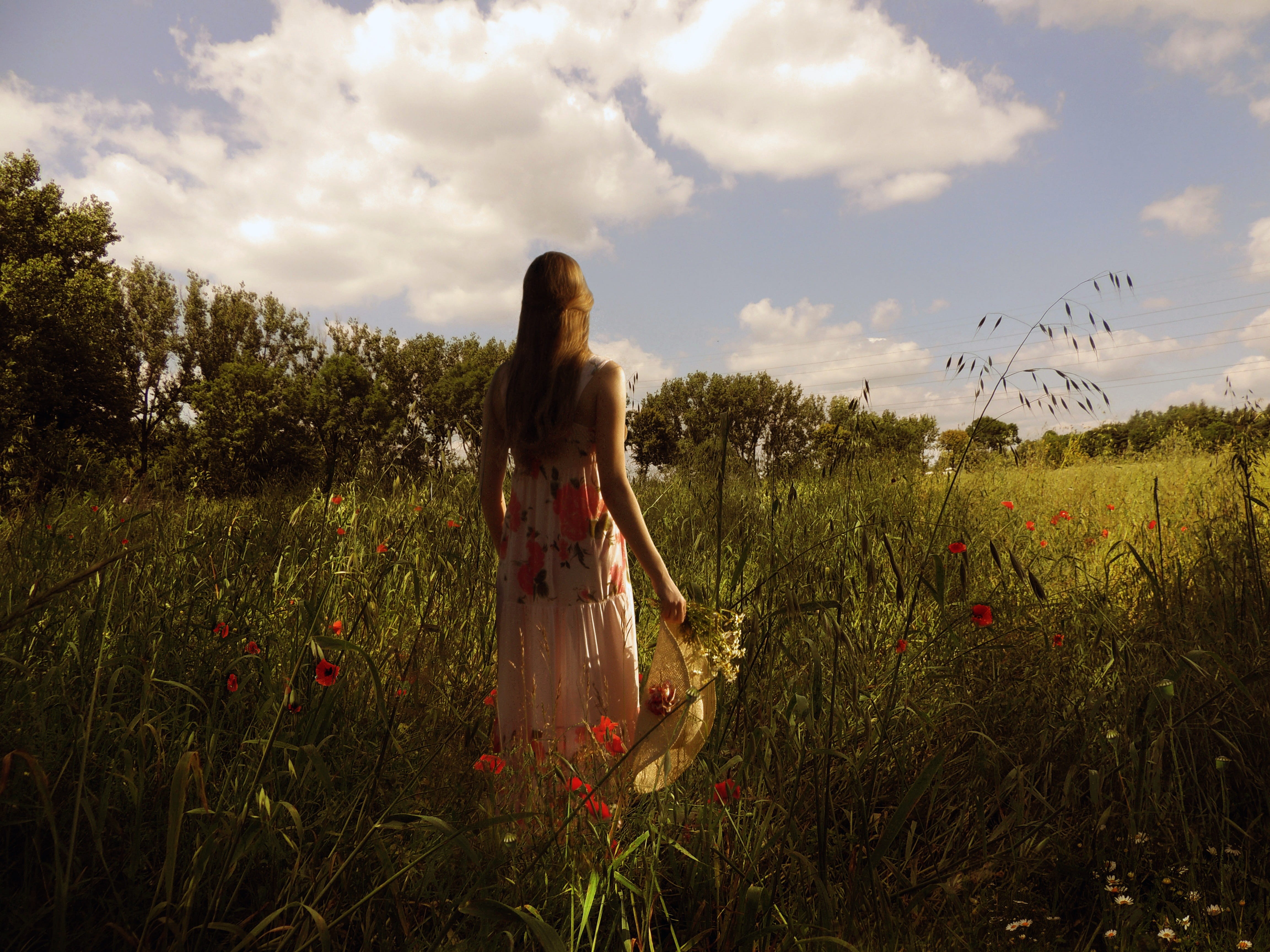 plant, poppies, green, one woman only, white, sky, hat, three quarter length, solitude, blue sky, spacer, adult, 4K, only women, tree, meadow, casual clothing, HD Wallpaper