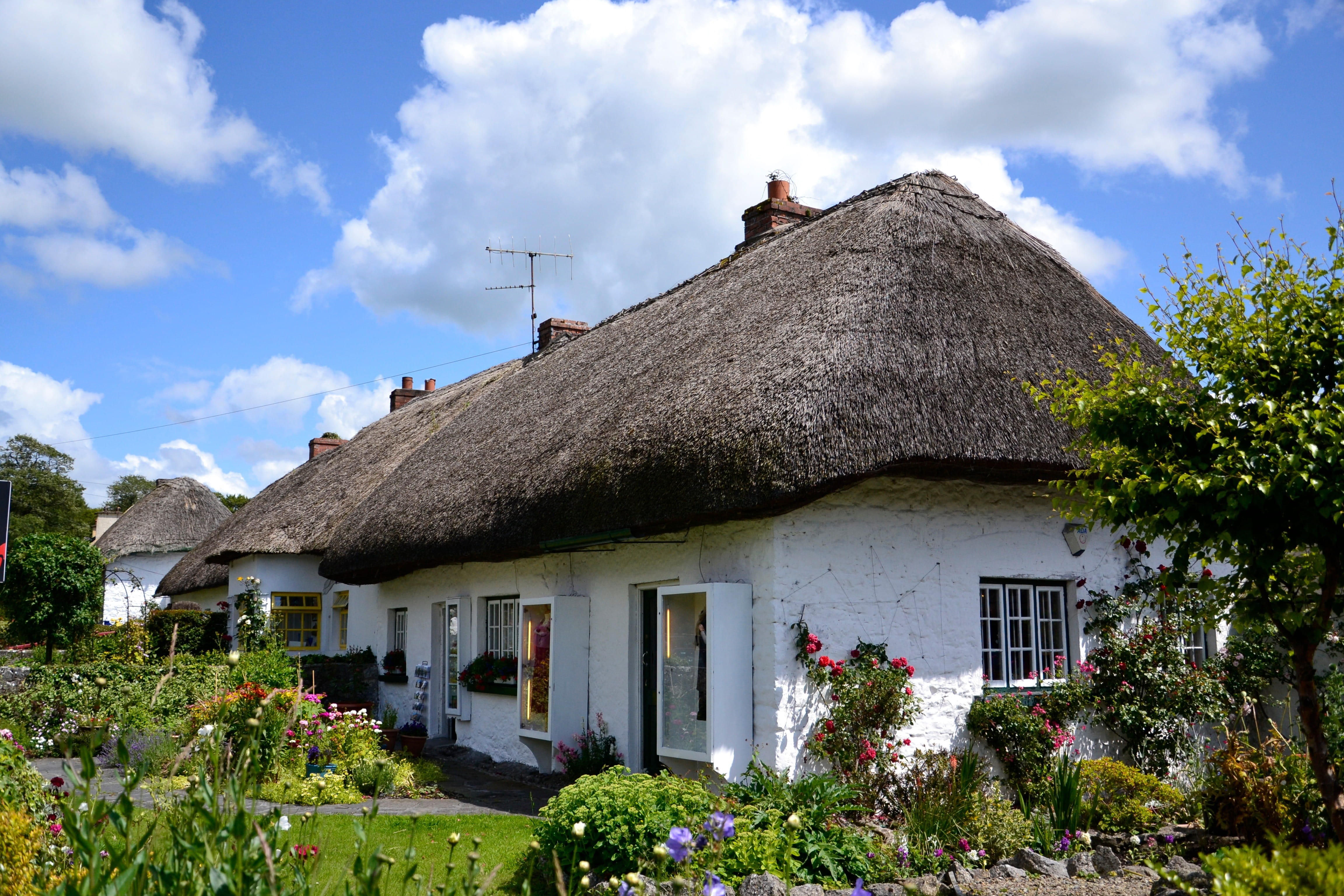 home, flower, beauty in nature, old, building Exterior, photography, flowering plant, built Structure, rural Scene, plant, architecture And Buildings, reed, HD Wallpaper
