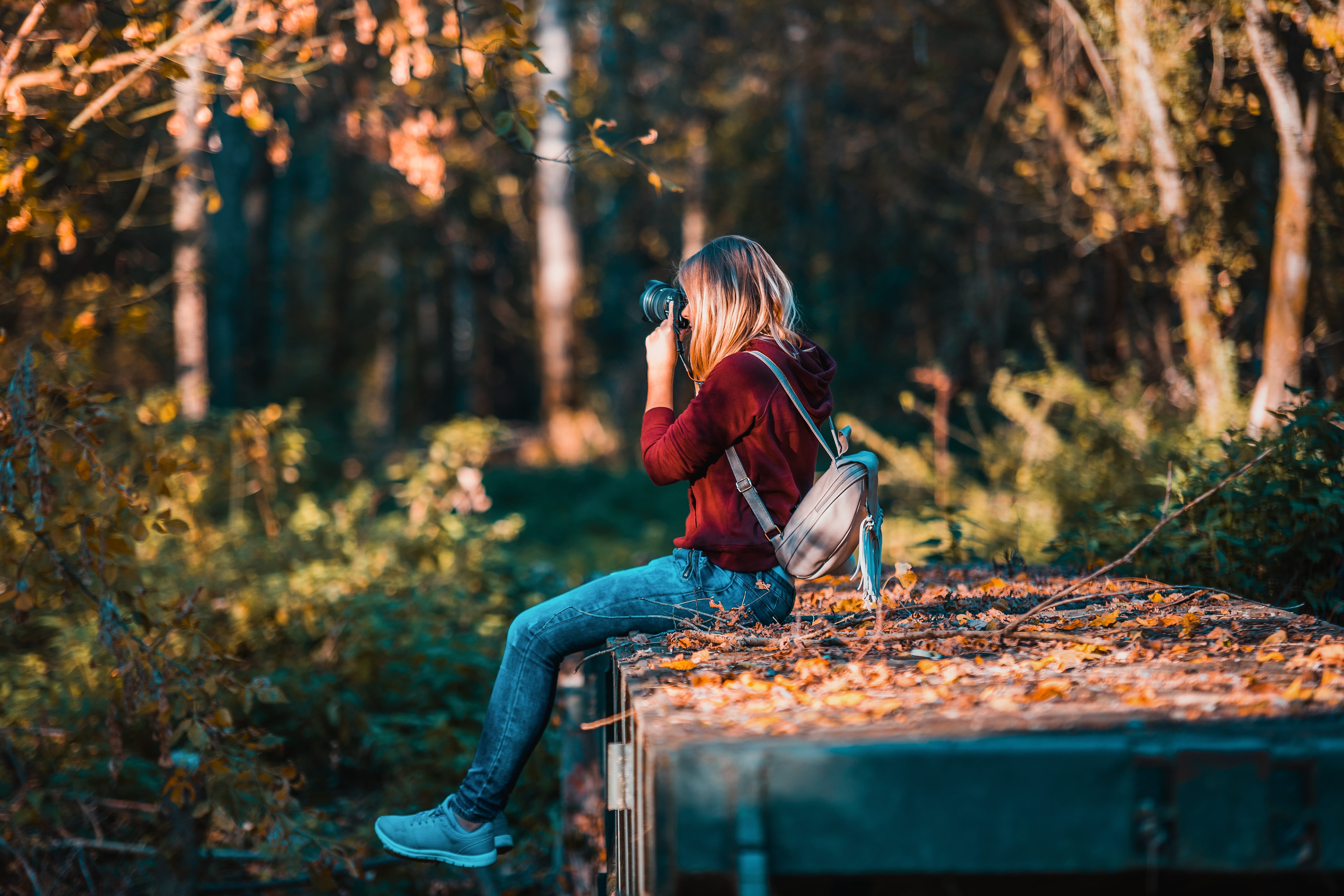 hobby, happiness, person, forest, lifestyle, daylight, activity, casual clothing, photographer, recreation, camera, females, woods, fall, tree, backpacker, HD Wallpaper