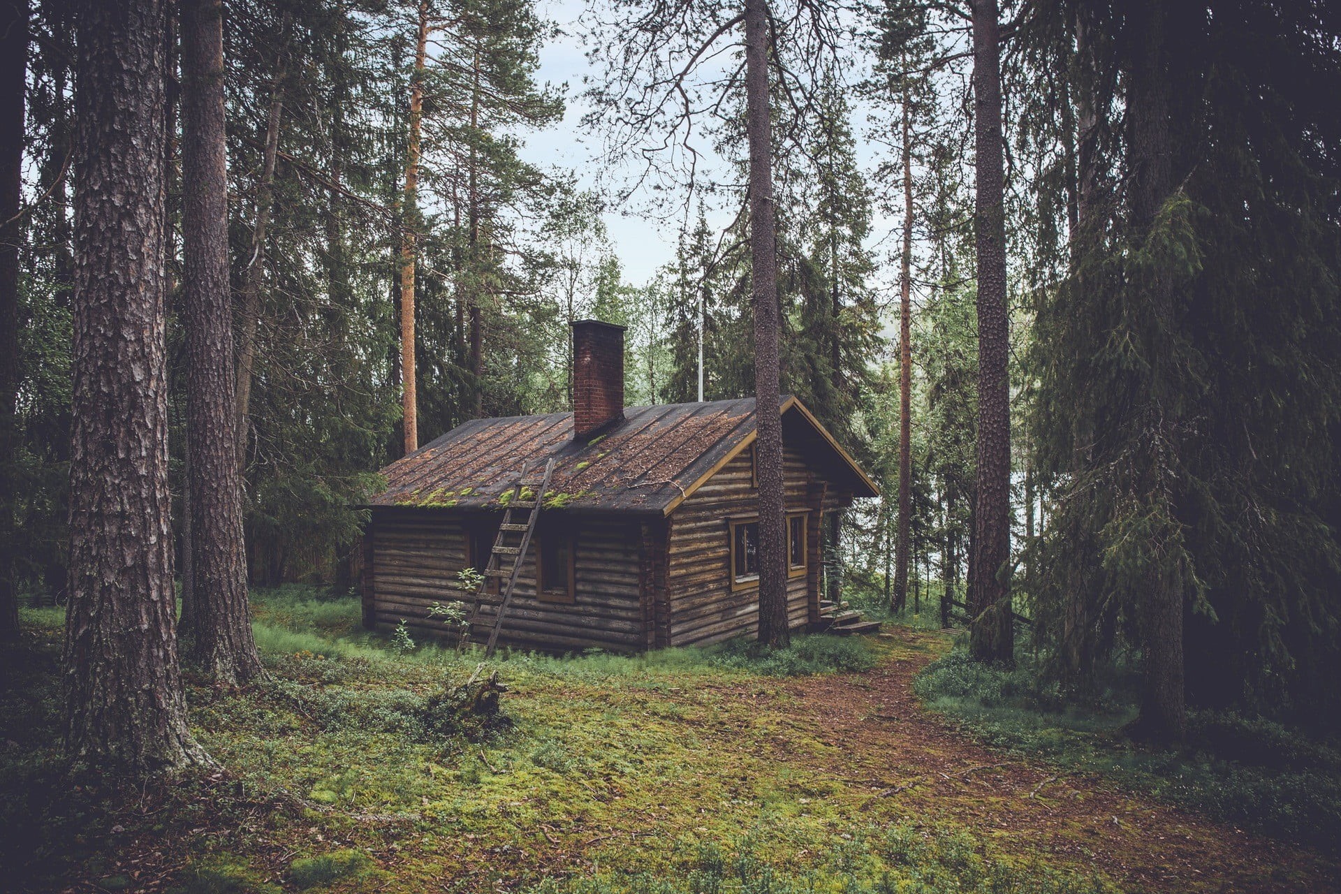 outdoors, cabin, tranquility, grass, tranquil scene, trunk, non-urban scene, building exterior, beauty in nature, tree, woodland, wooden, house, wood - material, HD Wallpaper