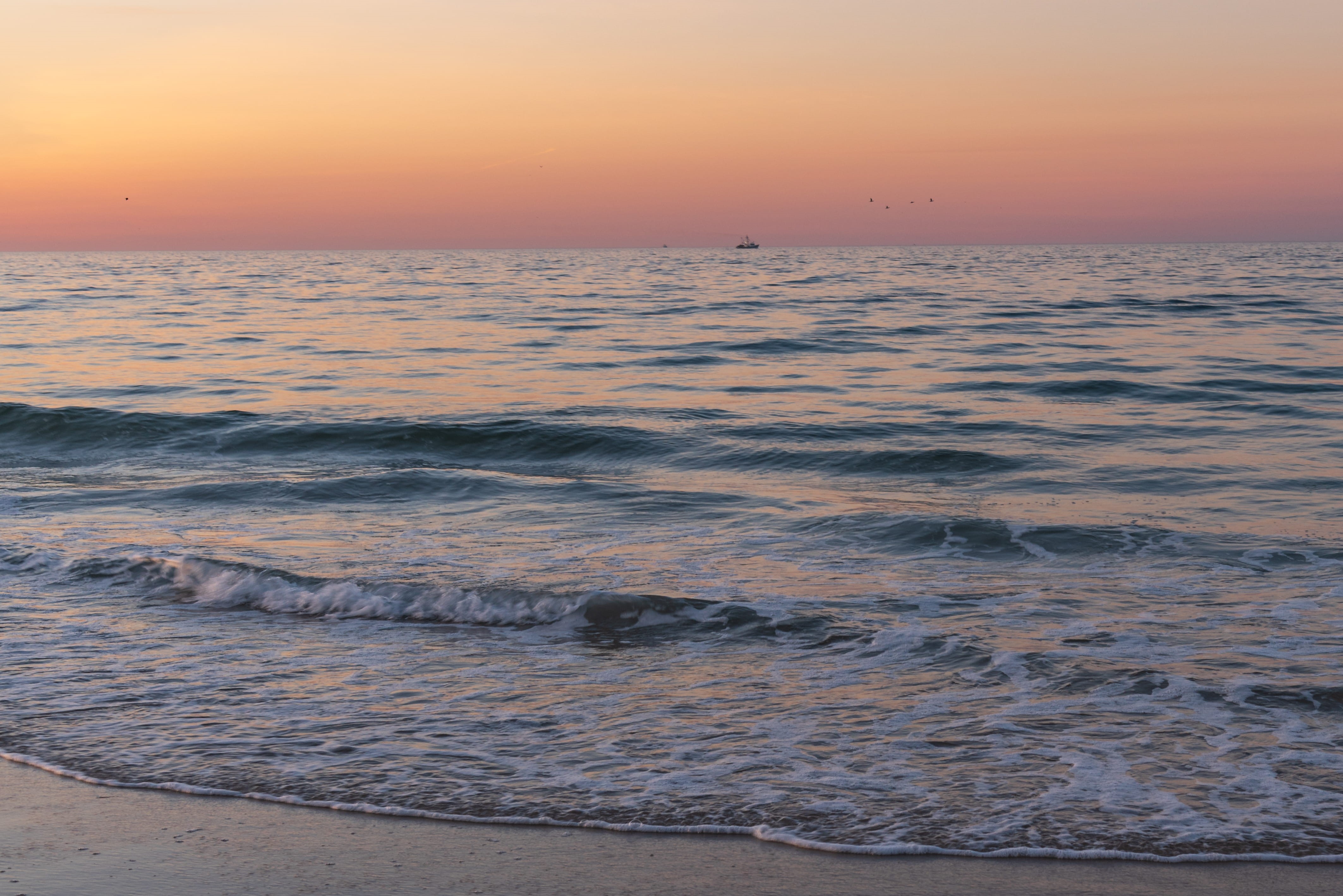 nature, robert moses state park - long island, 4K, beach, motion, beauty in nature, scenics - nature, aquatic sport, waves, land, sea, atlantic, wave, HD Wallpaper