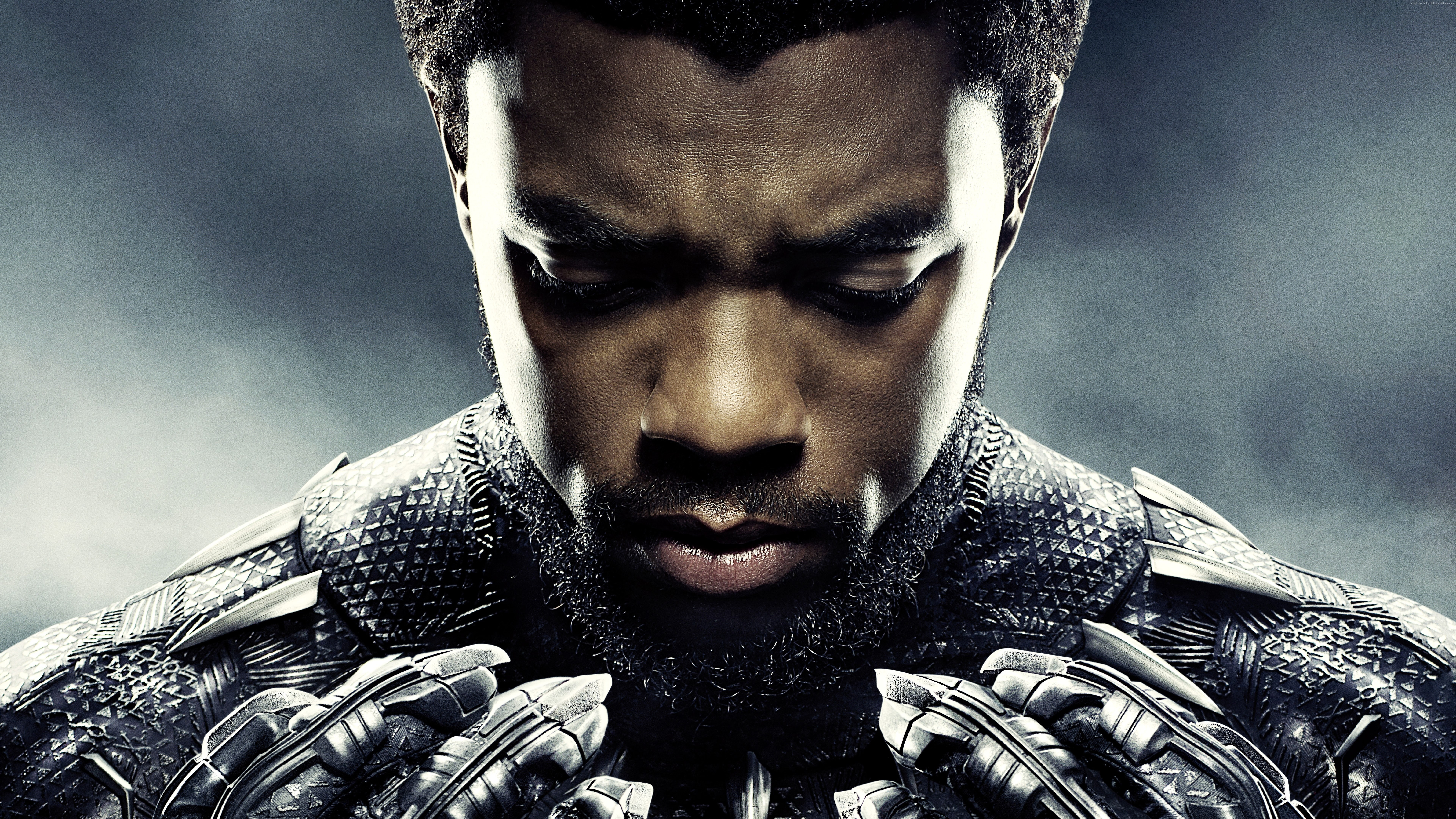 8K, 8k, Black Panther, Chadwick Boseman, HD Wallpaper
