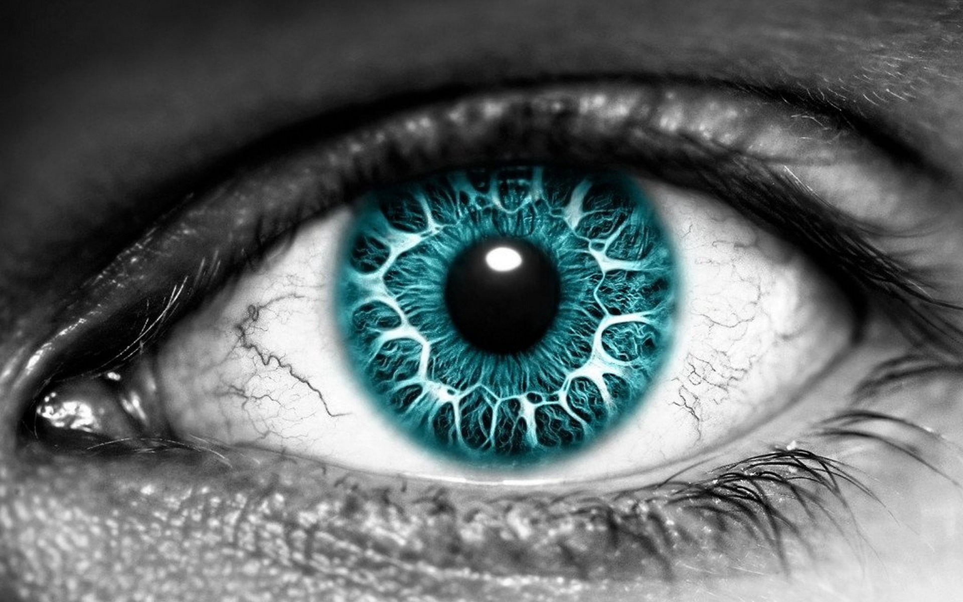eye, macro, eyes, close-up, one person, blue, eyebrow, blue eyes, black, 1080P, isolated color, eyelash, eyelid, beautiful woman, extreme close-up, real people, HD Wallpaper