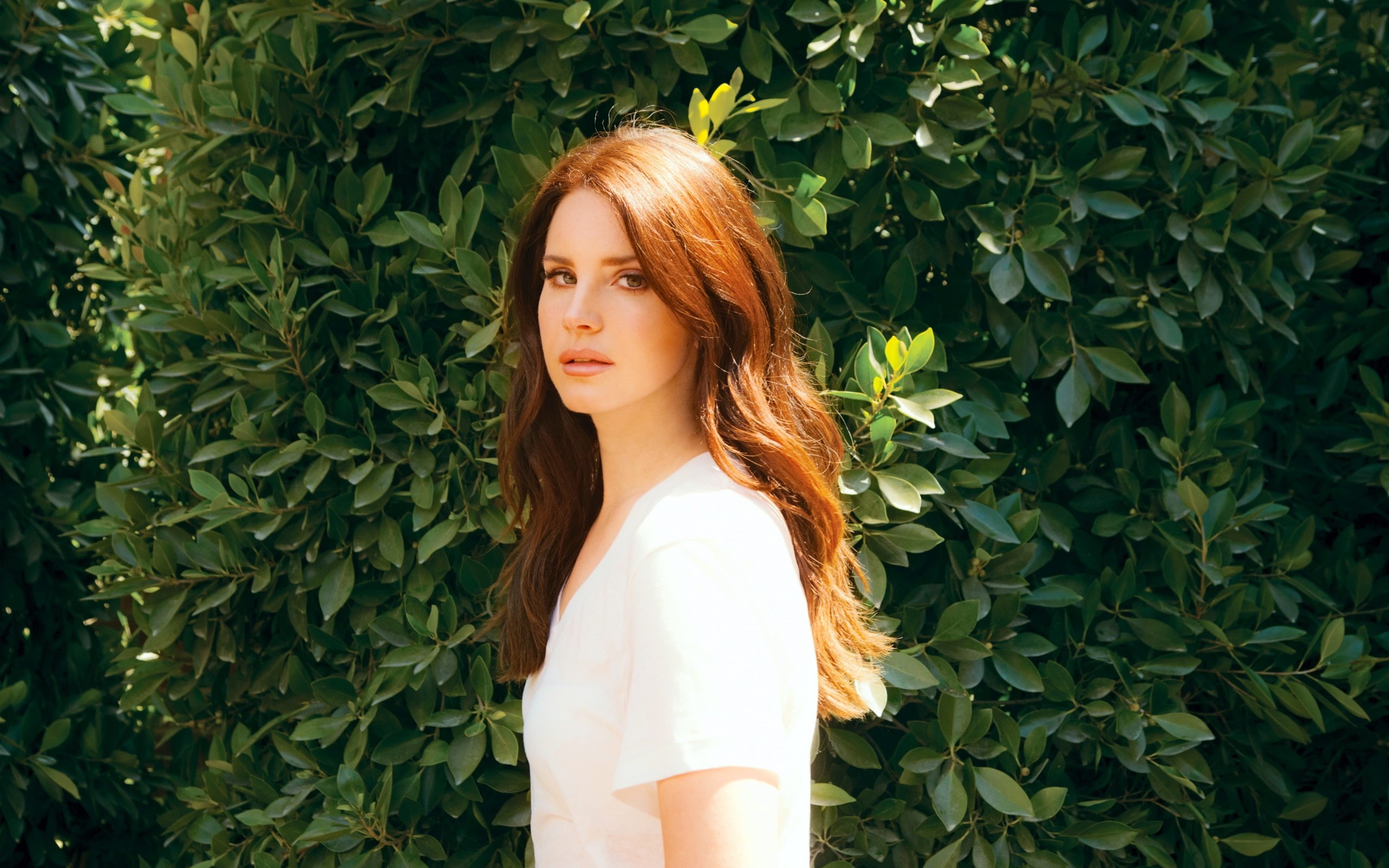 Lana, 2K, Del, Rey, HD Wallpaper