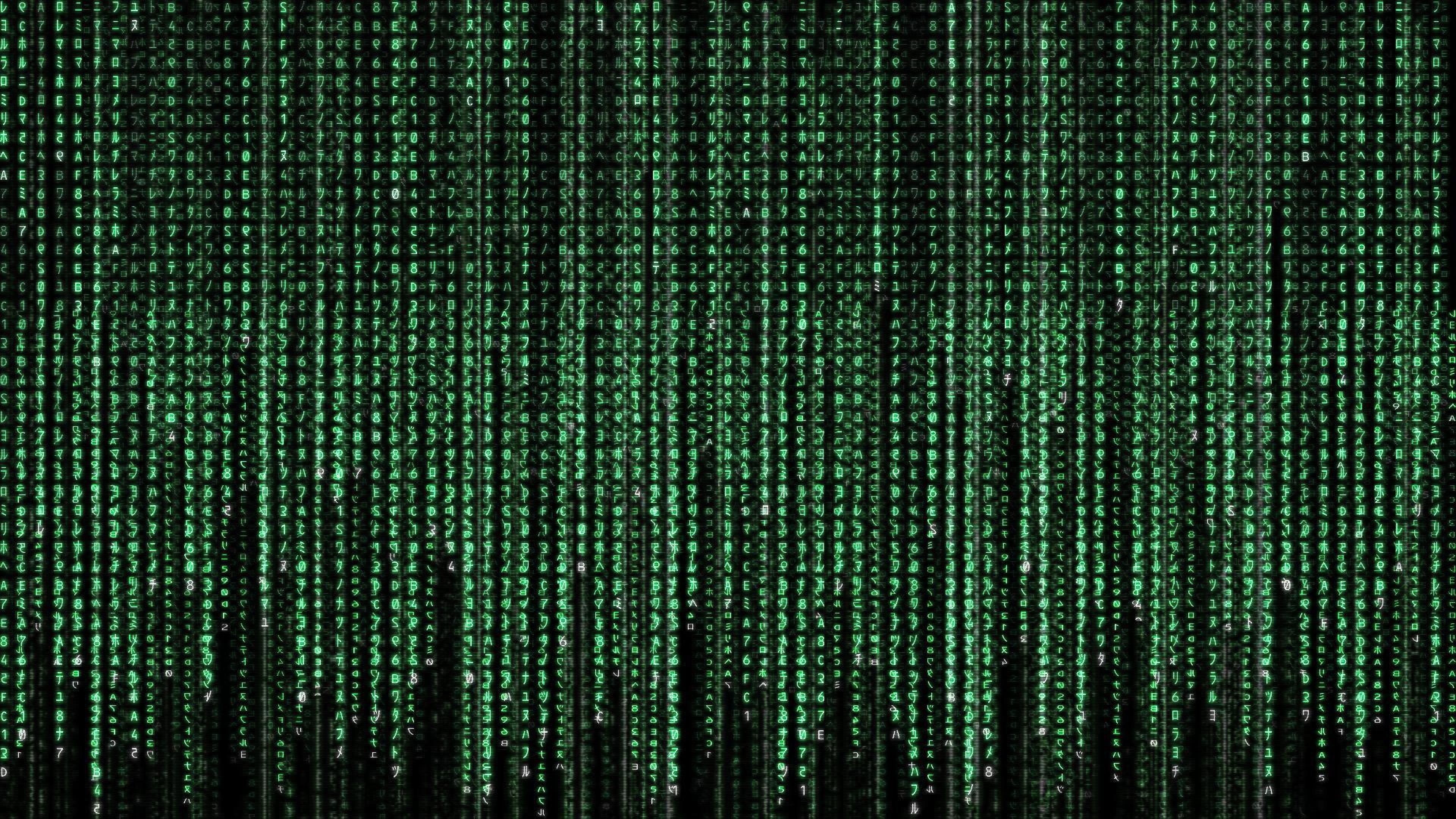 technics, cyber, thriller, action, virus, code, gacking, matrix, revolutions, punk, science, fiction, futuristic, computer, fighting, 4K, noir, adventure, HD Wallpaper