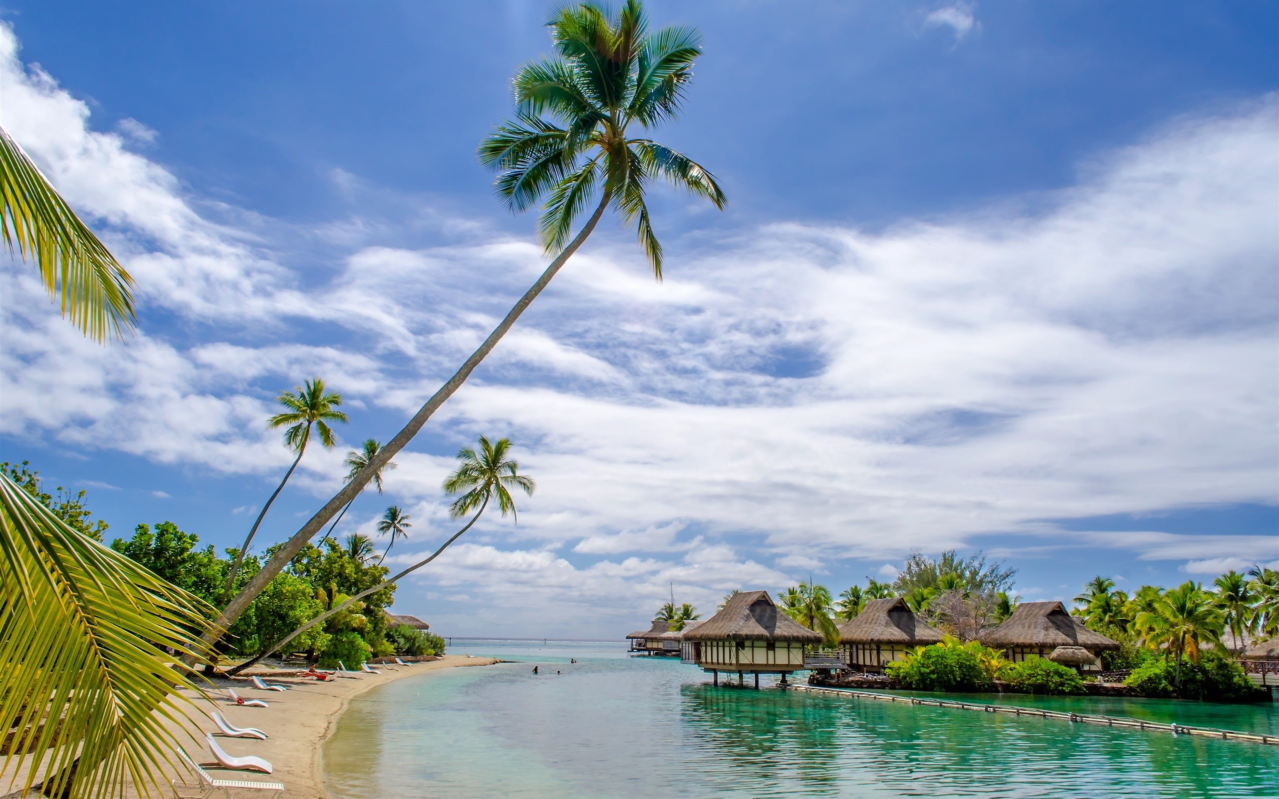 Tropical, Beach, Trees, Palm, Sea, Resort, House, 2K, HD Wallpaper