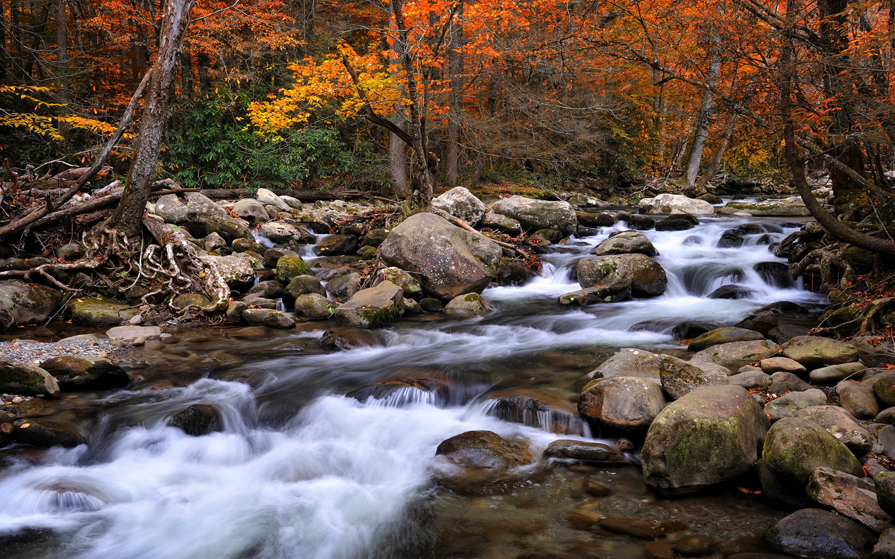 non-urban scene, tennesse, smoky, rock - object, national, tablet, plant, desktop, solid, beauty in nature, flowing water, carolina, water, long exposure, HD Wallpaper