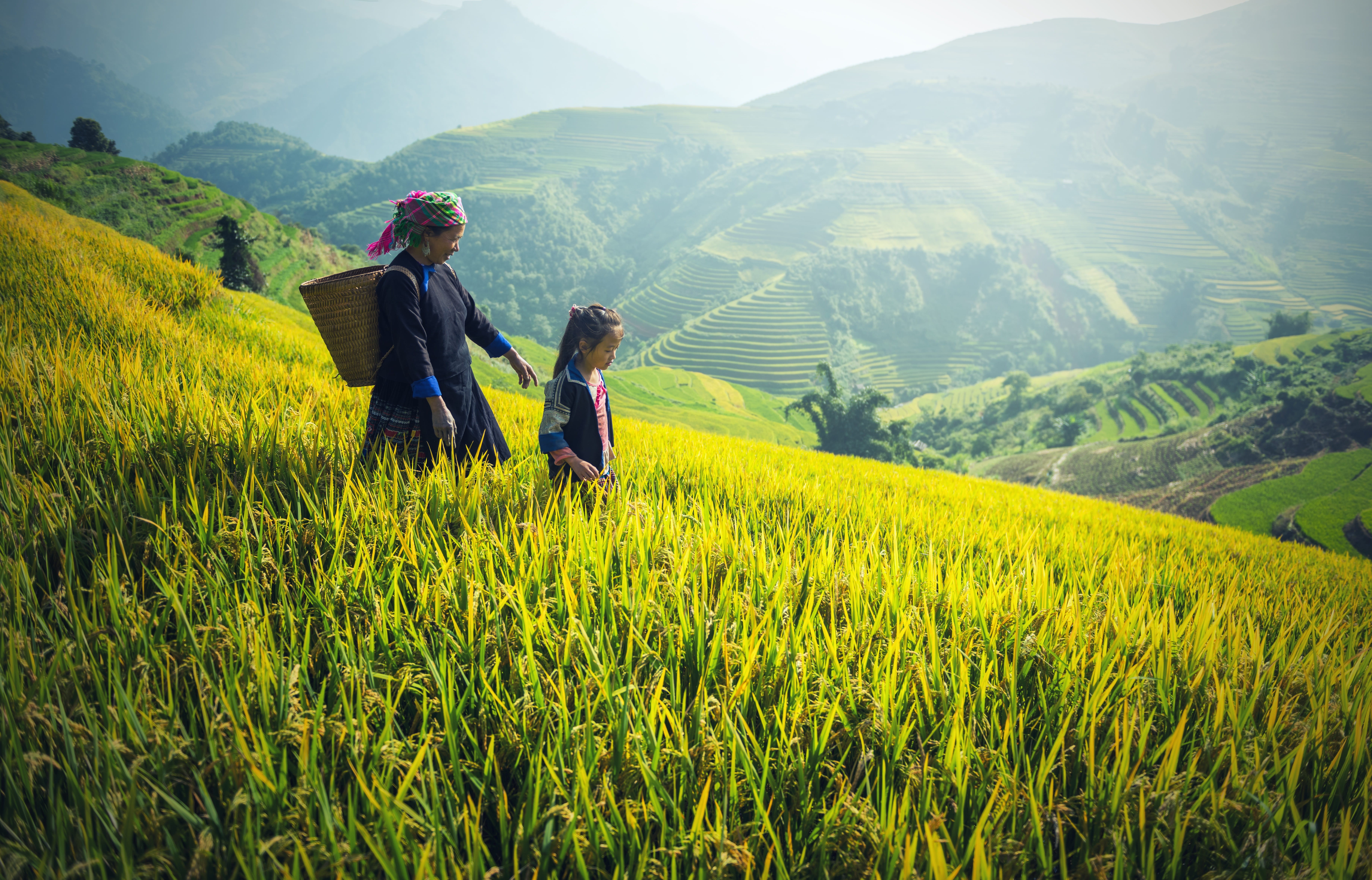 togetherness, fabrics, golf club, back, scenics - nature, culture, women, yen, adult, 5K, mountains, rice, two people, transplant, land, of poverty, to control, HD Wallpaper