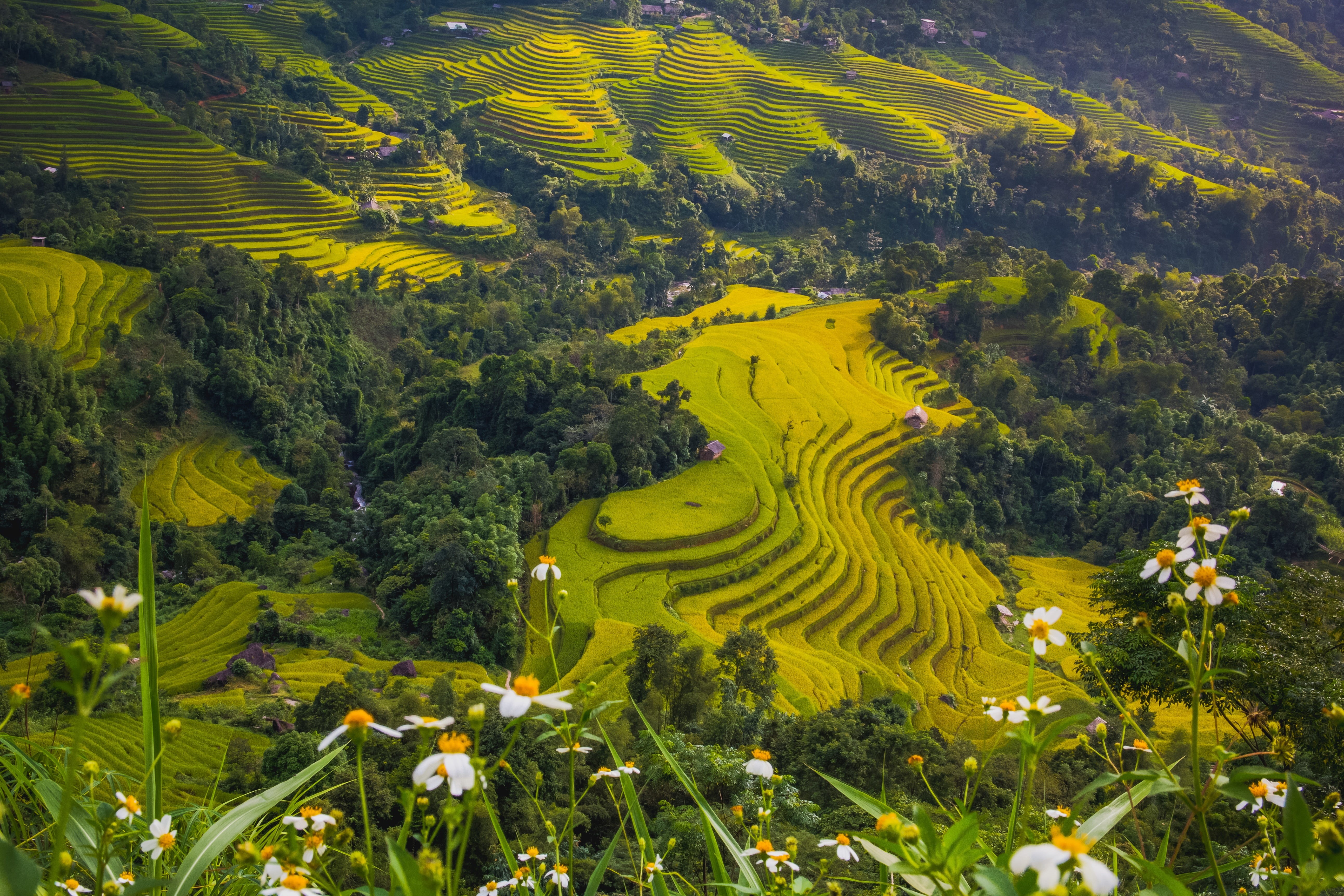 valley, life, rice, beautiful, land, holiday, banaue, trail, farm, tranquil scene, day, gold, cultures, outdoors, ethnic, tranquil, environment, plant, HD Wallpaper