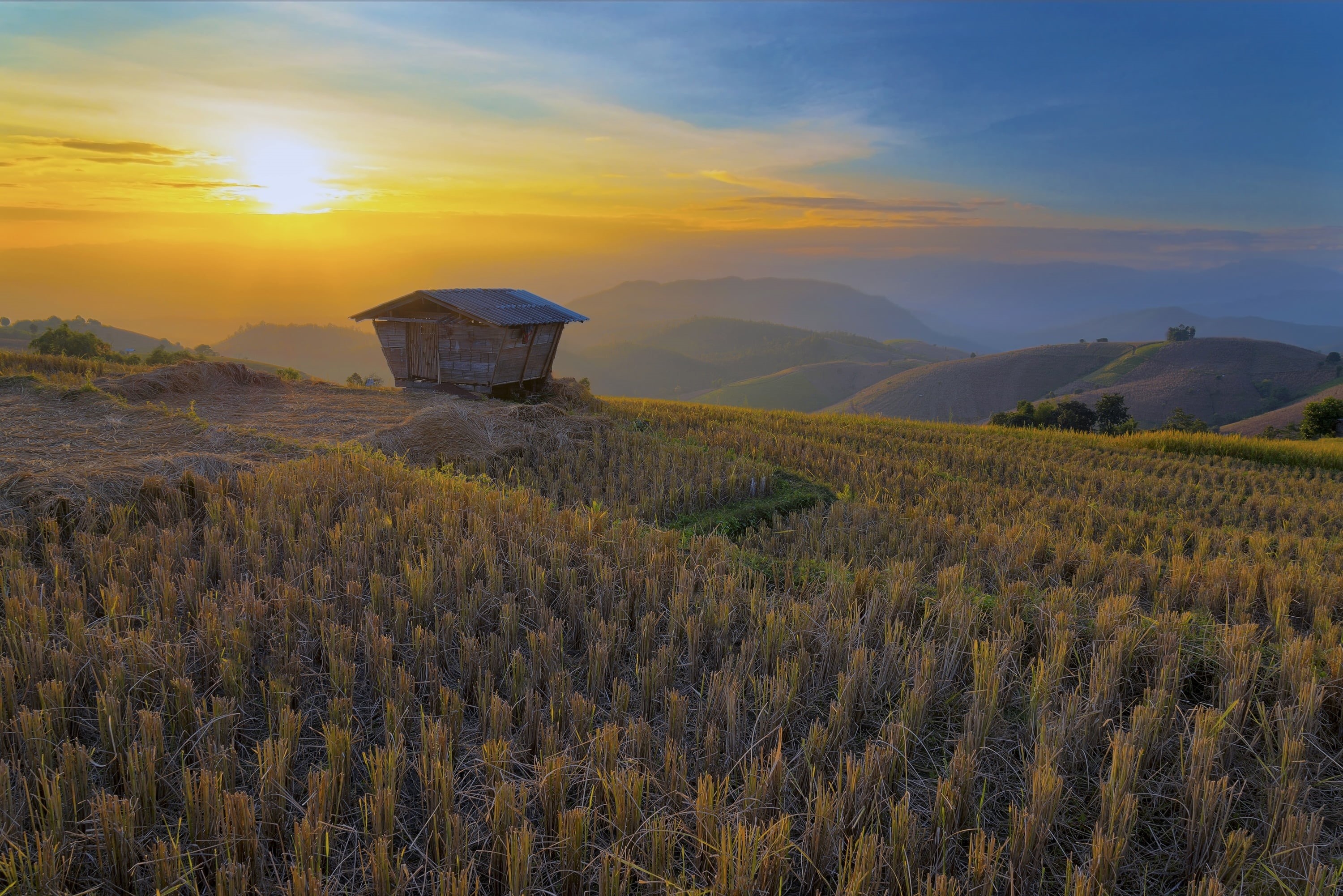 chiang mai, nature, east, house, the landscape, scenics - nature, culture, idyllic, tranquility, rice crust, asia, sky, outdoor, beautiful, food, cultivating, HD Wallpaper