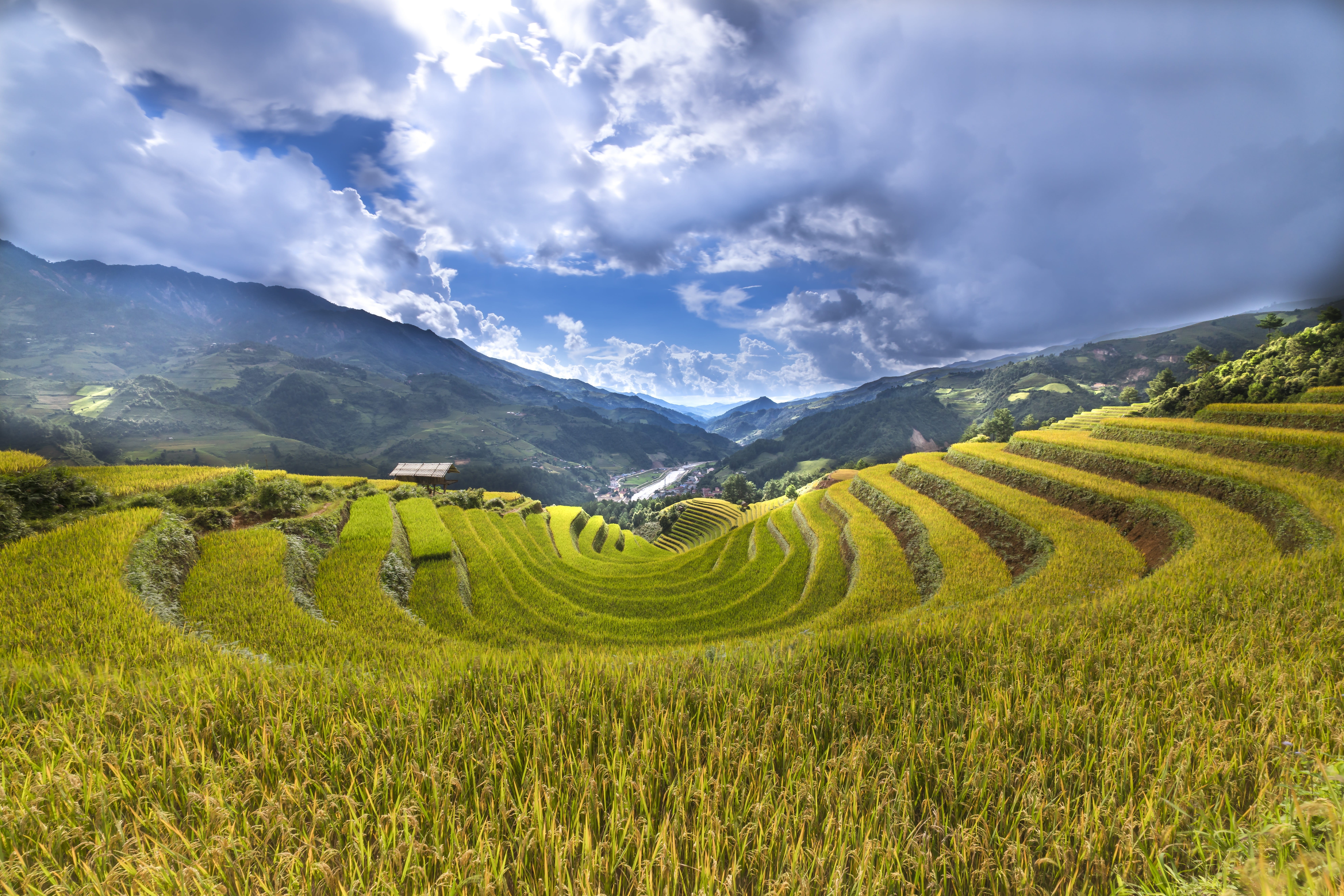 hire rice, mountain, scenics - nature, work, crop, outdoors, daytime, conical leaf hat, people, rice - cereal, women, field, plant, natural, gardening, HD Wallpaper
