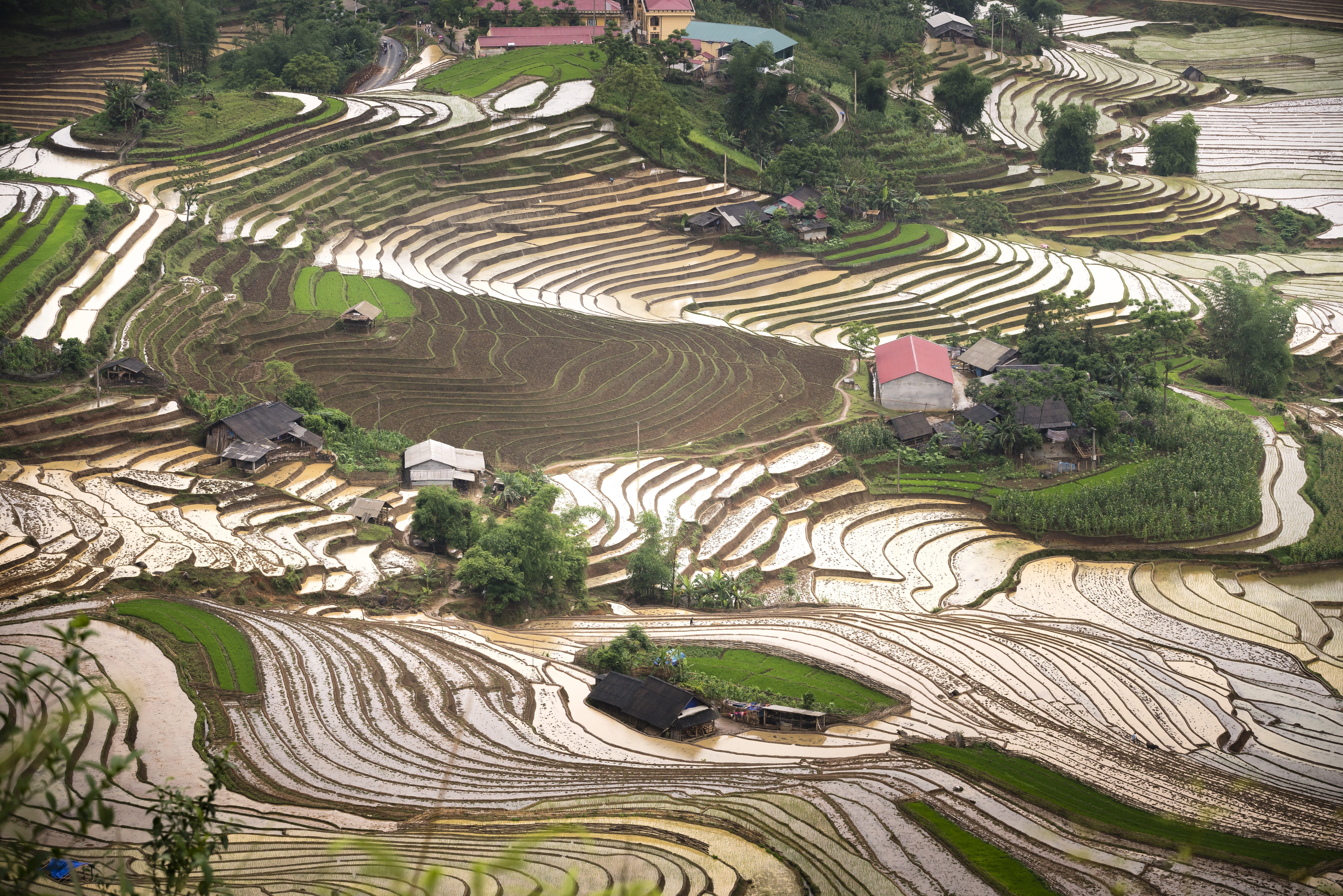 landscape, asia, vietnam, high angle view, travel, full color, harvest, mountain, terraced field, the valley, gardening, rice, cultural, step, season, scenics - nature, HD Wallpaper