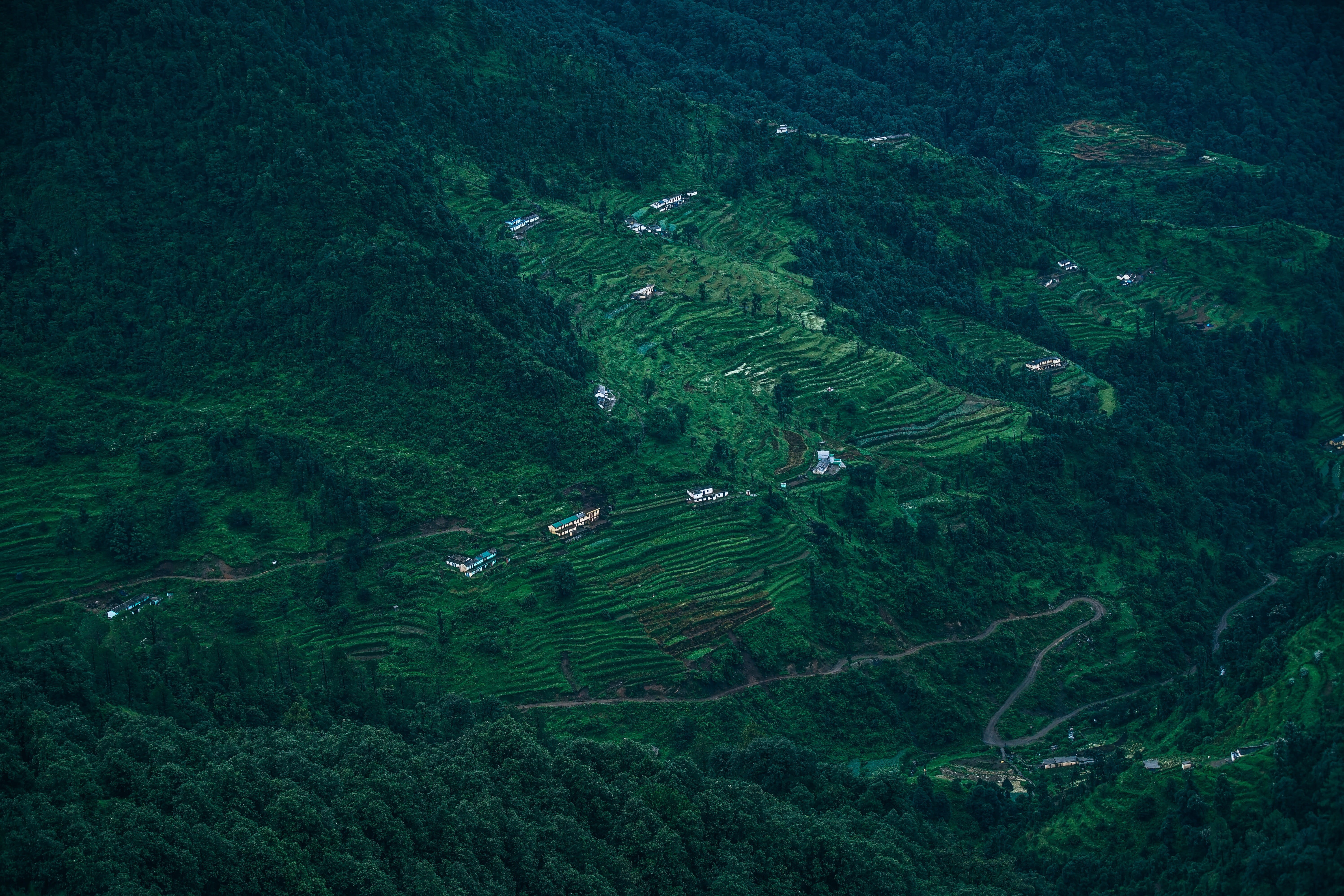 scenic, growth, trees, mountain, house, view, farm, tranquil scene, terraces, district, travel, meadow, river, rice, no people, foliage, tree, famous, ecology, HD Wallpaper