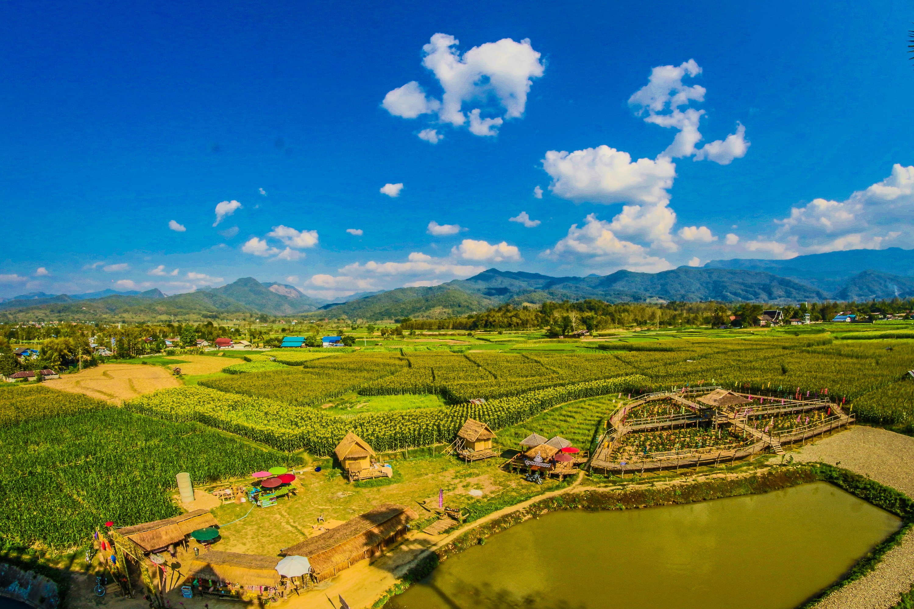 panorama, travel, cloudy, view, organic, field, straw, pasture, day, rice - cereal plant, harvest, cloud - sky, daylight, thailand, high angle shot, wheat field, HD Wallpaper