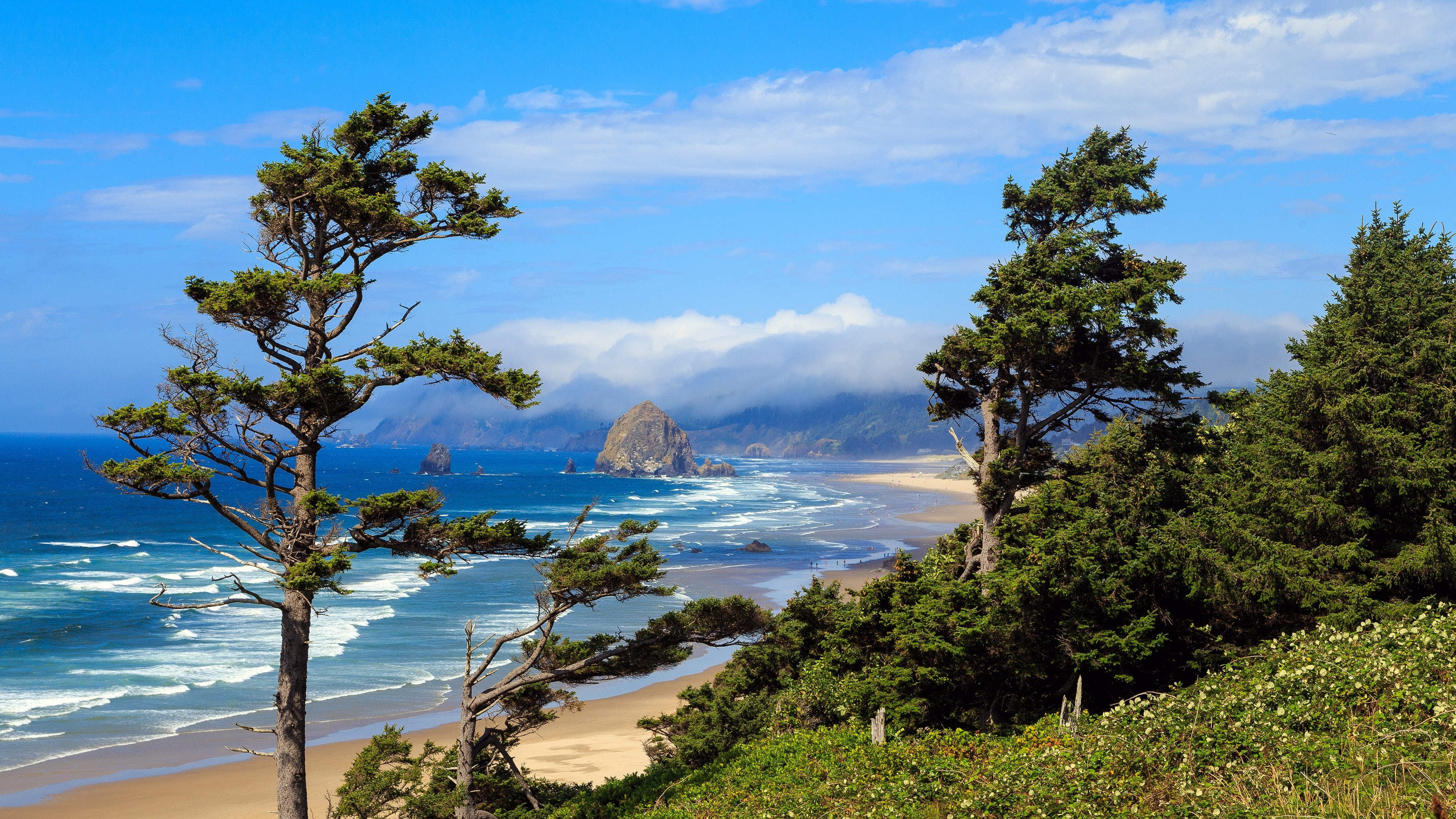 beach, cape, shore, tourism, rugged, coast, 4K, united states, coastline, shortline, ocean, ecola point, cannon beach, bay, pacific ocean, sky, tree, sea, HD Wallpaper