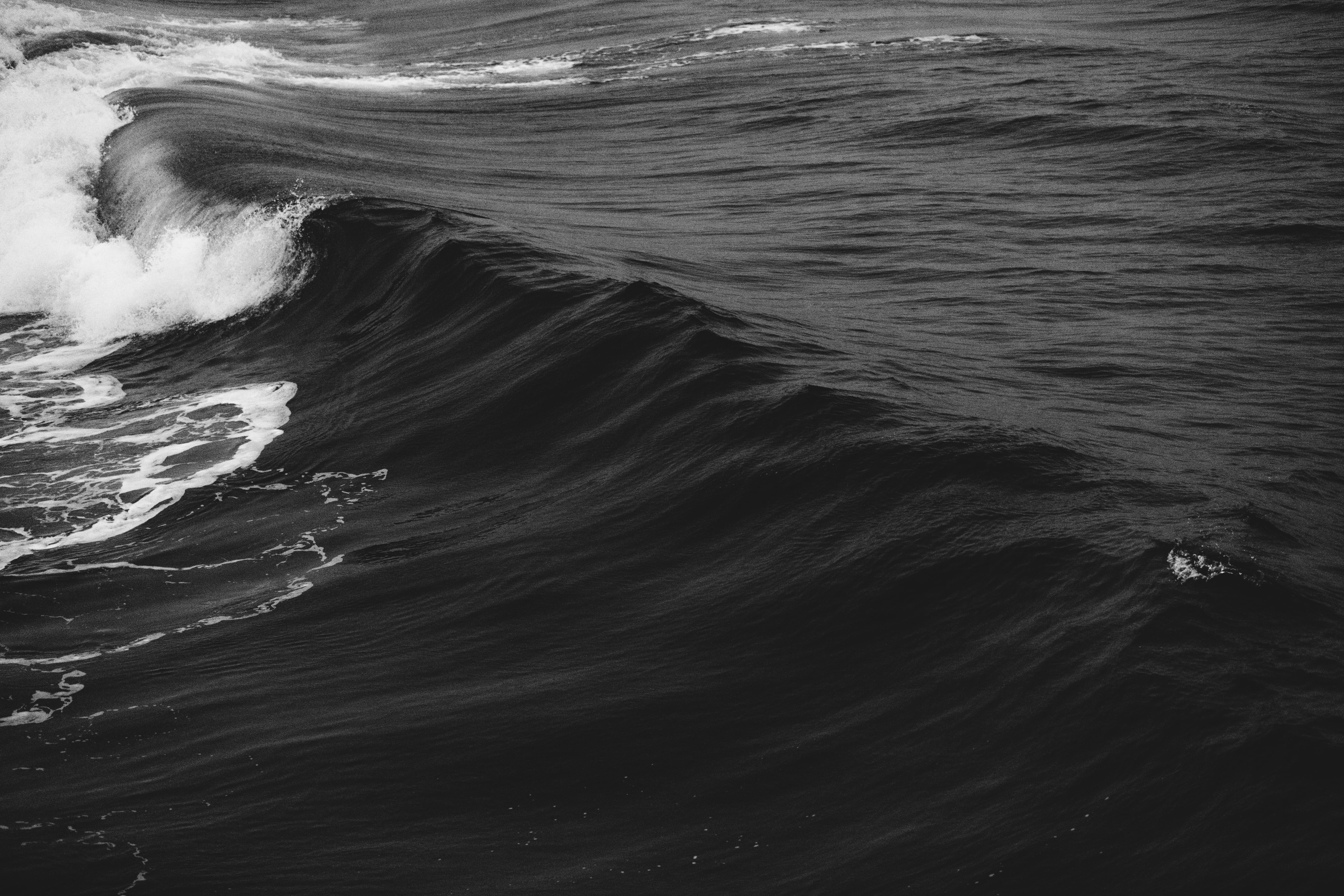 grayscale, power, desktop, land, minimal, power in nature, sport, ocean, waves, aquatic sport, wave, photography, beauty in nature, sea, nature, HD Wallpaper