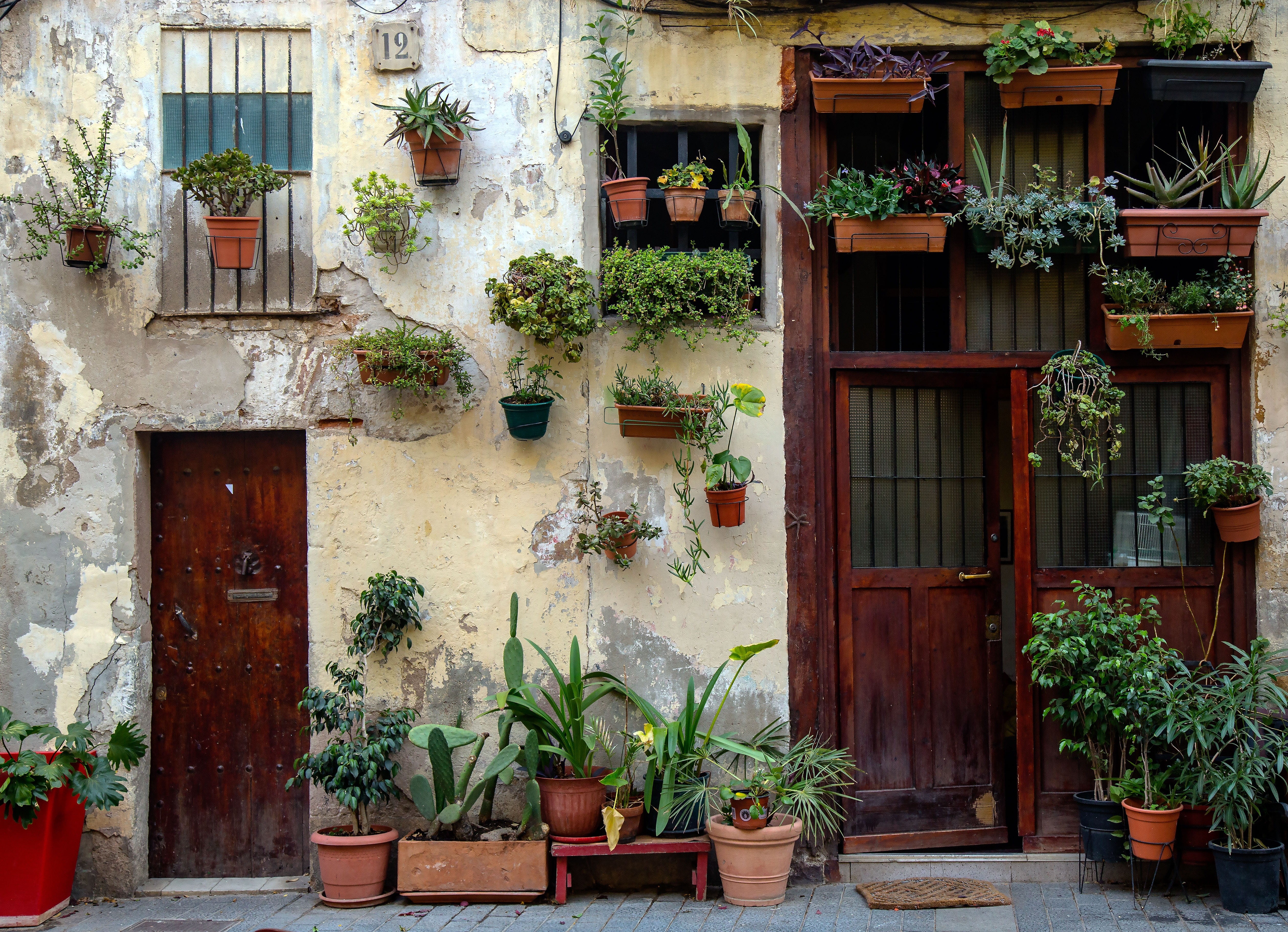 assorted, plant part, flower pot, plants, growth, built structure, courtyard, building, wood - material, hanging, outdoors, doors, balcony, day, plant, HD Wallpaper