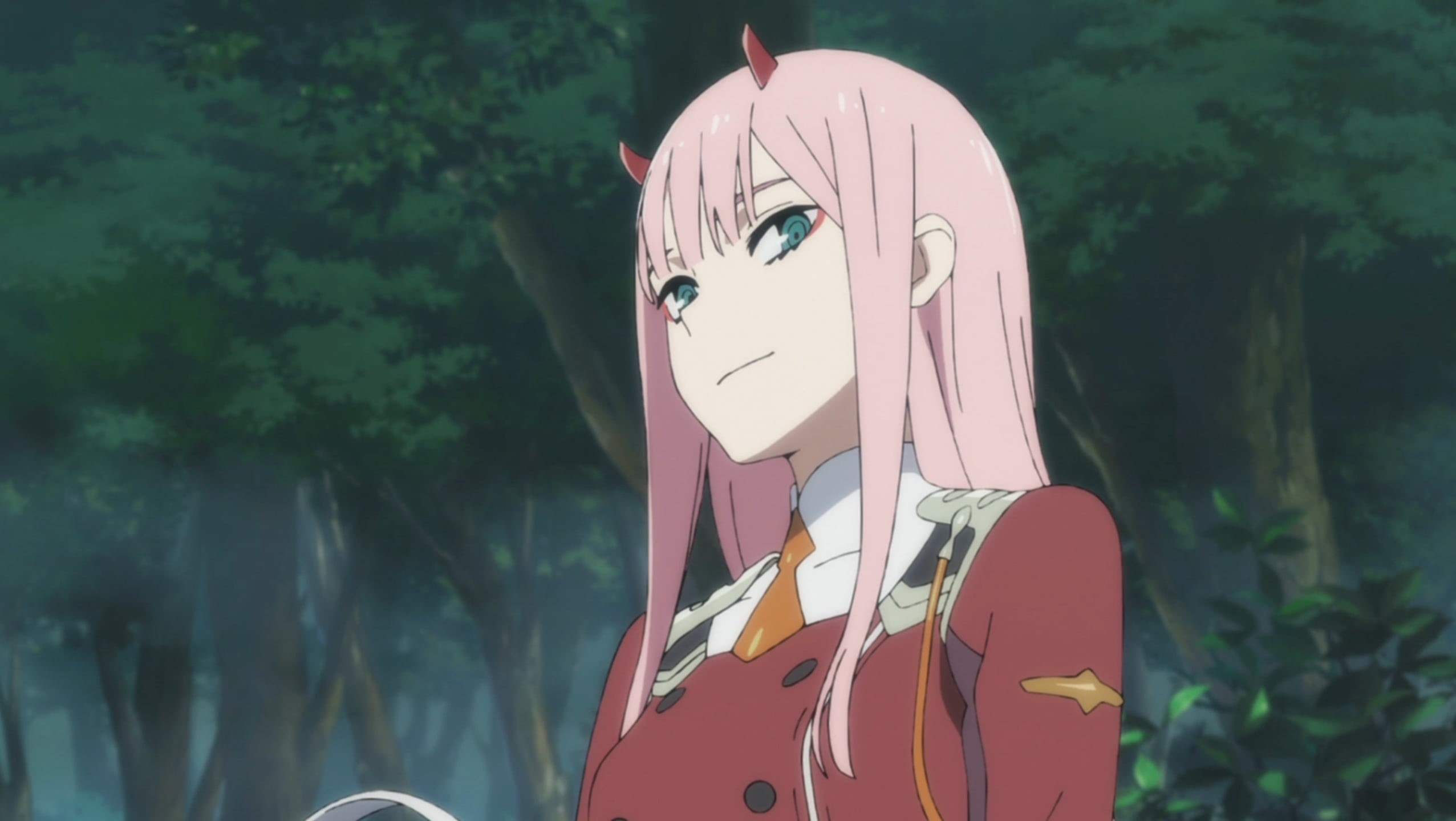 no laifu, Strelitzia, 1080P, Darling in the FranXX, No waifu, Code: 002(02), pink hair, Strelizia (DARLING in the FRANXX), horns, HD Wallpaper
