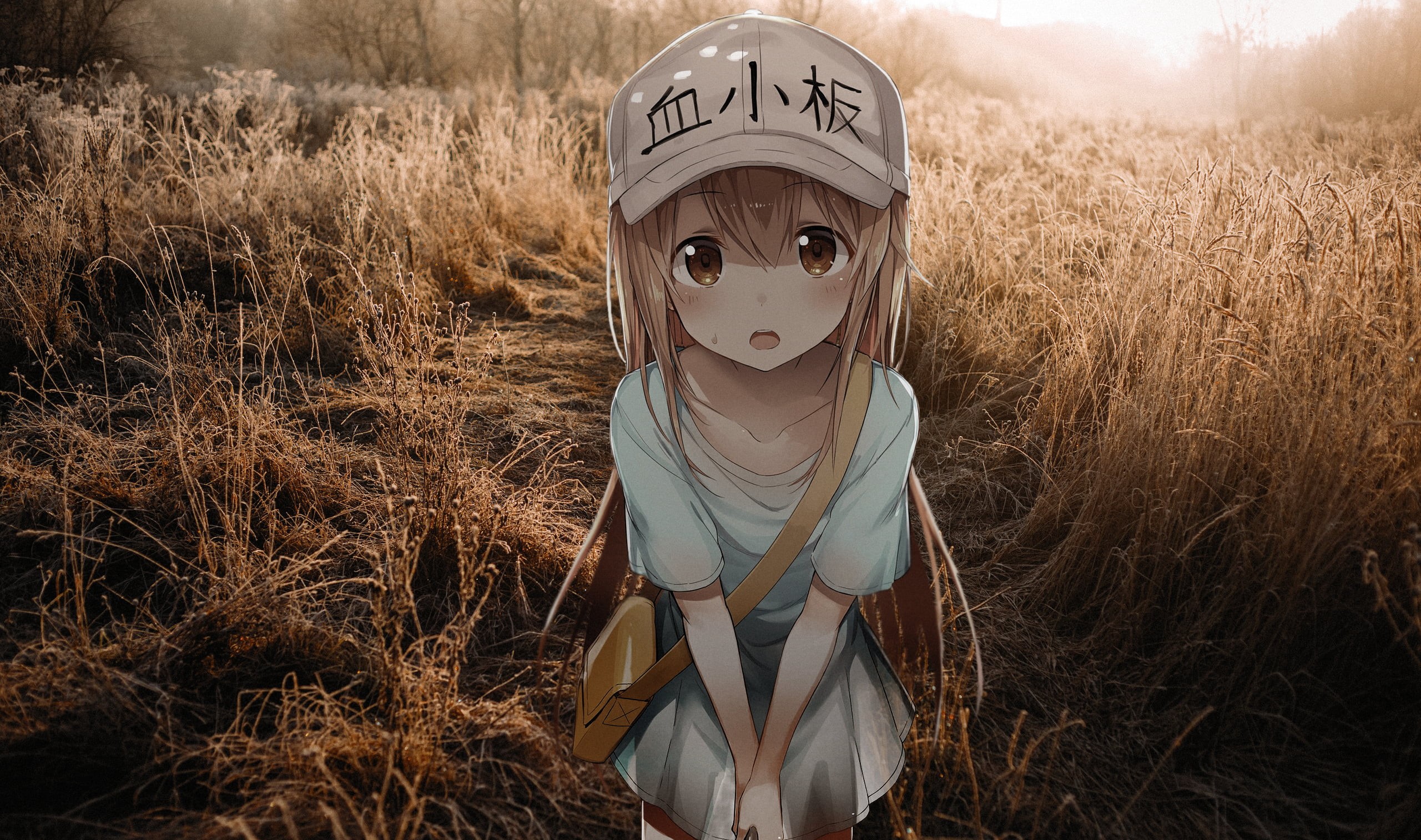 loli, child, front view, character, scarecrow, land, cell, childhood, Hataraku Saibou, innocence, representation, human representation, city, anime, unrecognizable person, HD Wallpaper