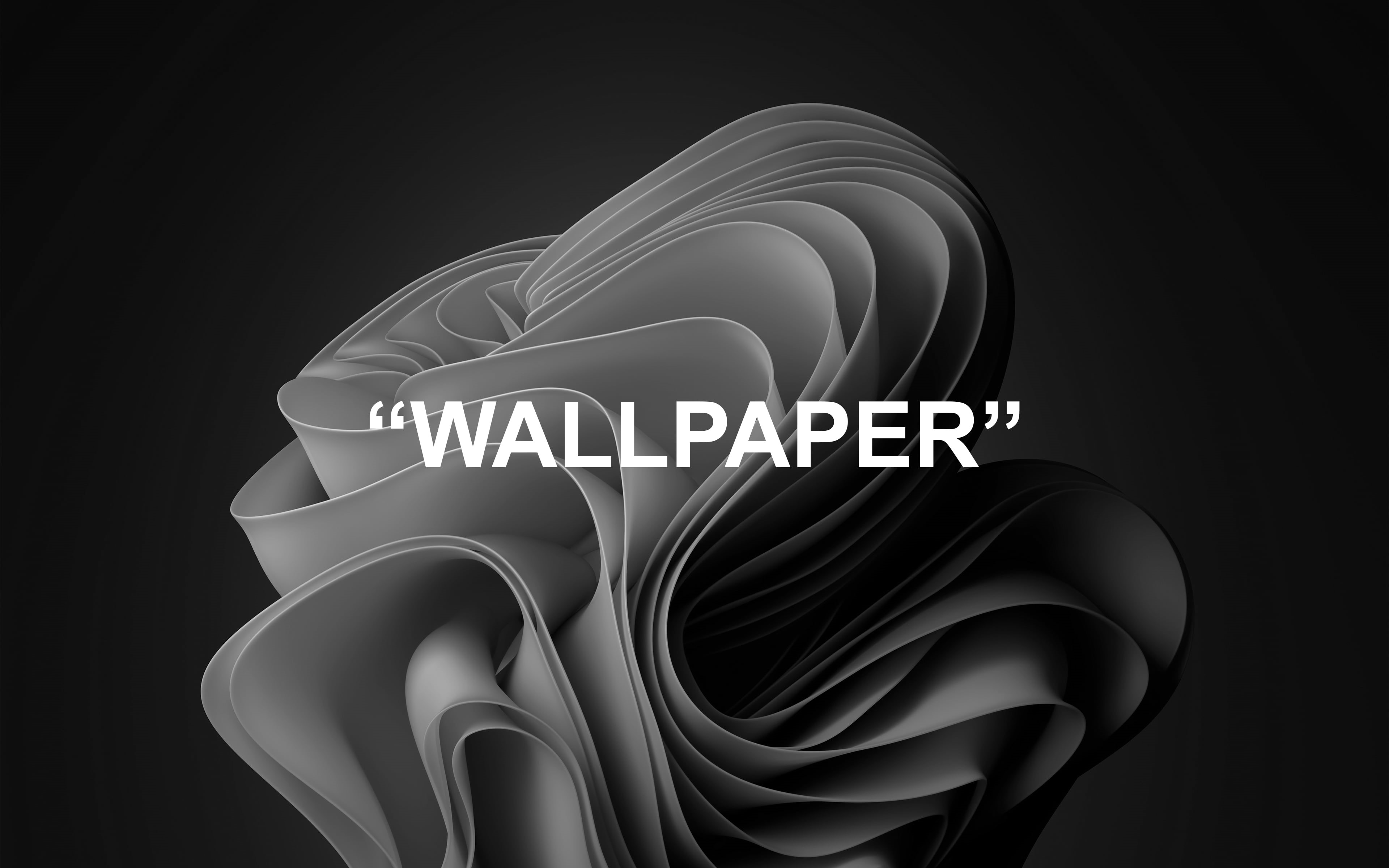 gray, 4K, windows 11, monochrome, HD Wallpaper