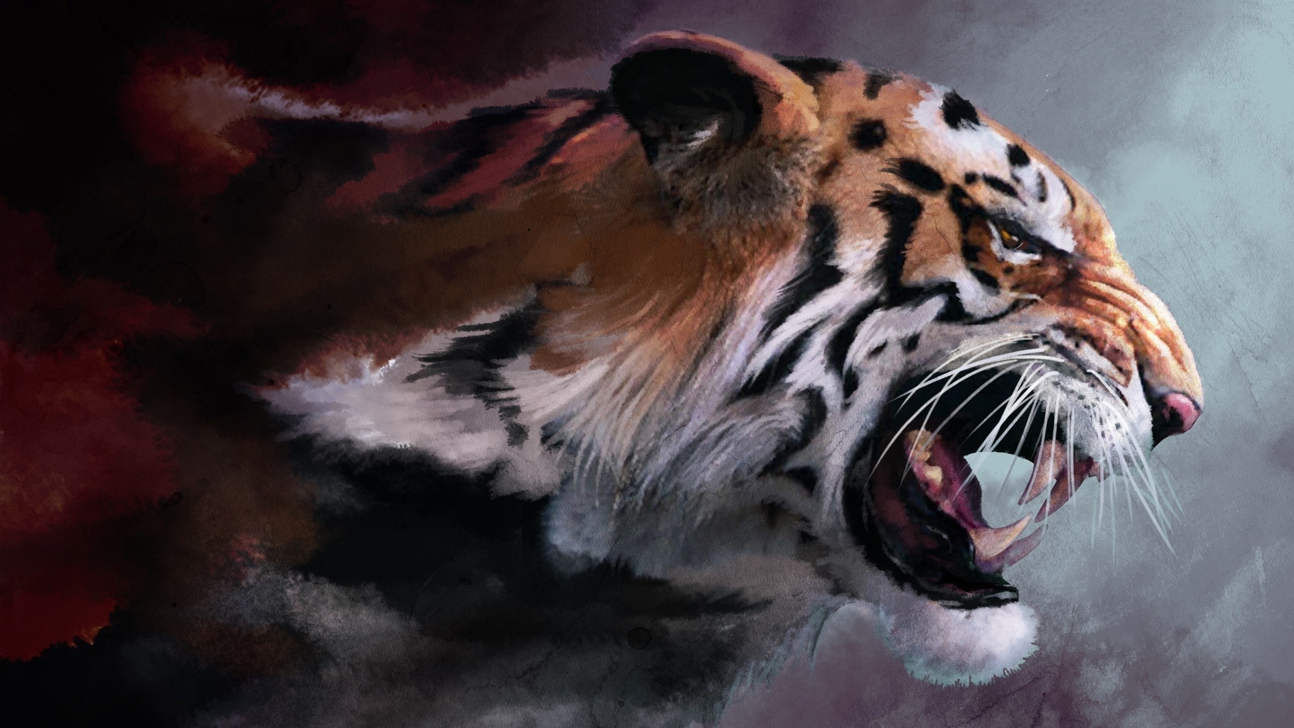 hd, tiger, abstract, painting, digital/artwork, 2K, white, frame, HD Wallpaper