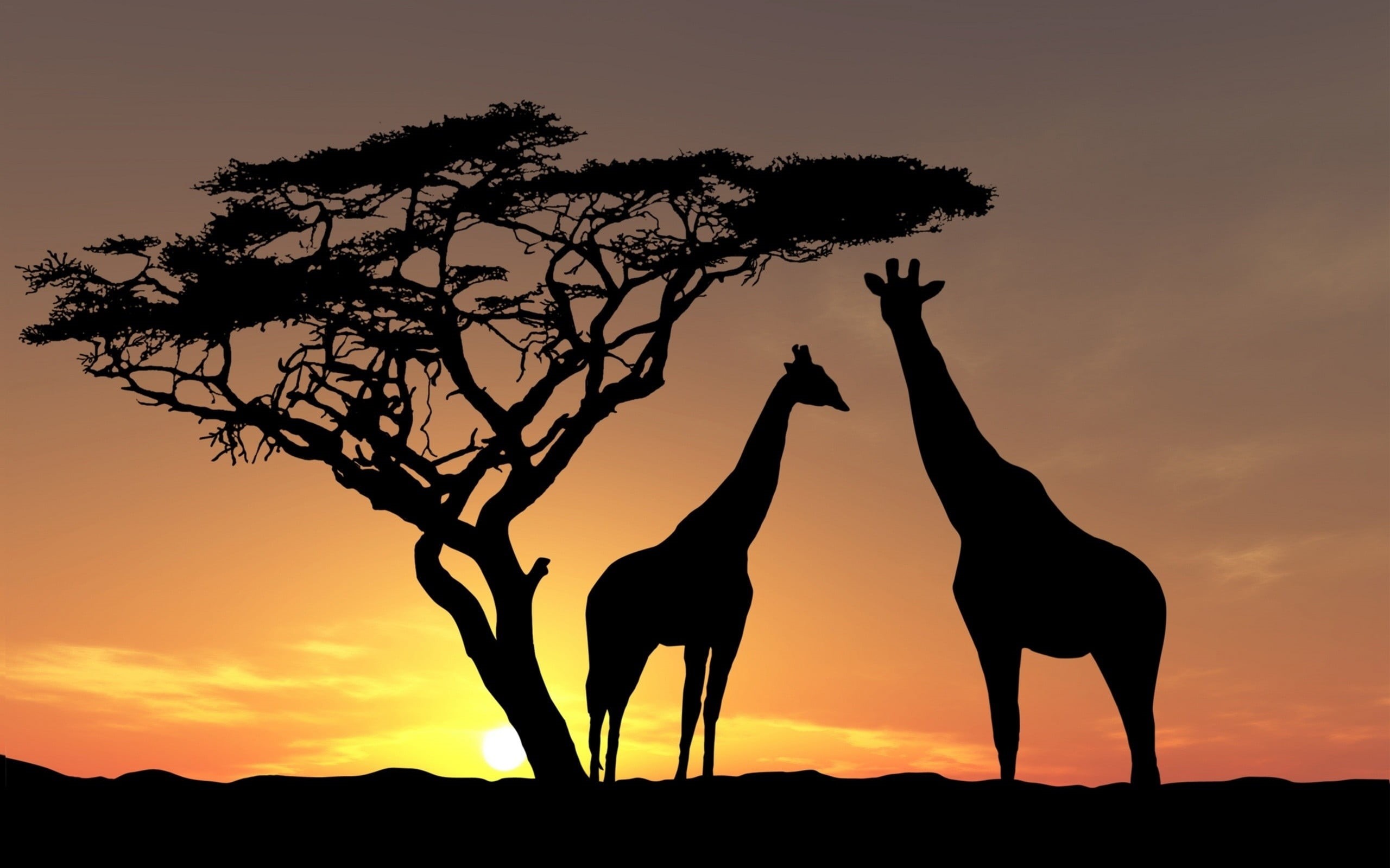 landscape, orange color, nature, clouds, land, vertebrate, animal themes, animals, sky, sunset, 2K, animal wildlife, domestic animals, tree, giraffe, beside, HD Wallpaper